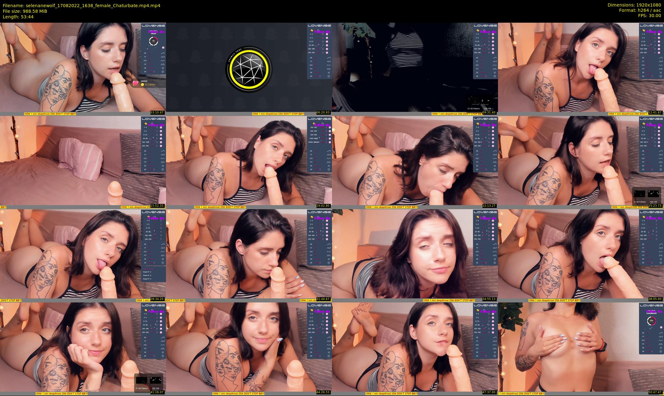 selenanewolf — 54 minute Chaturbate couple cam show recording, 1080p, Aug 17, 2022