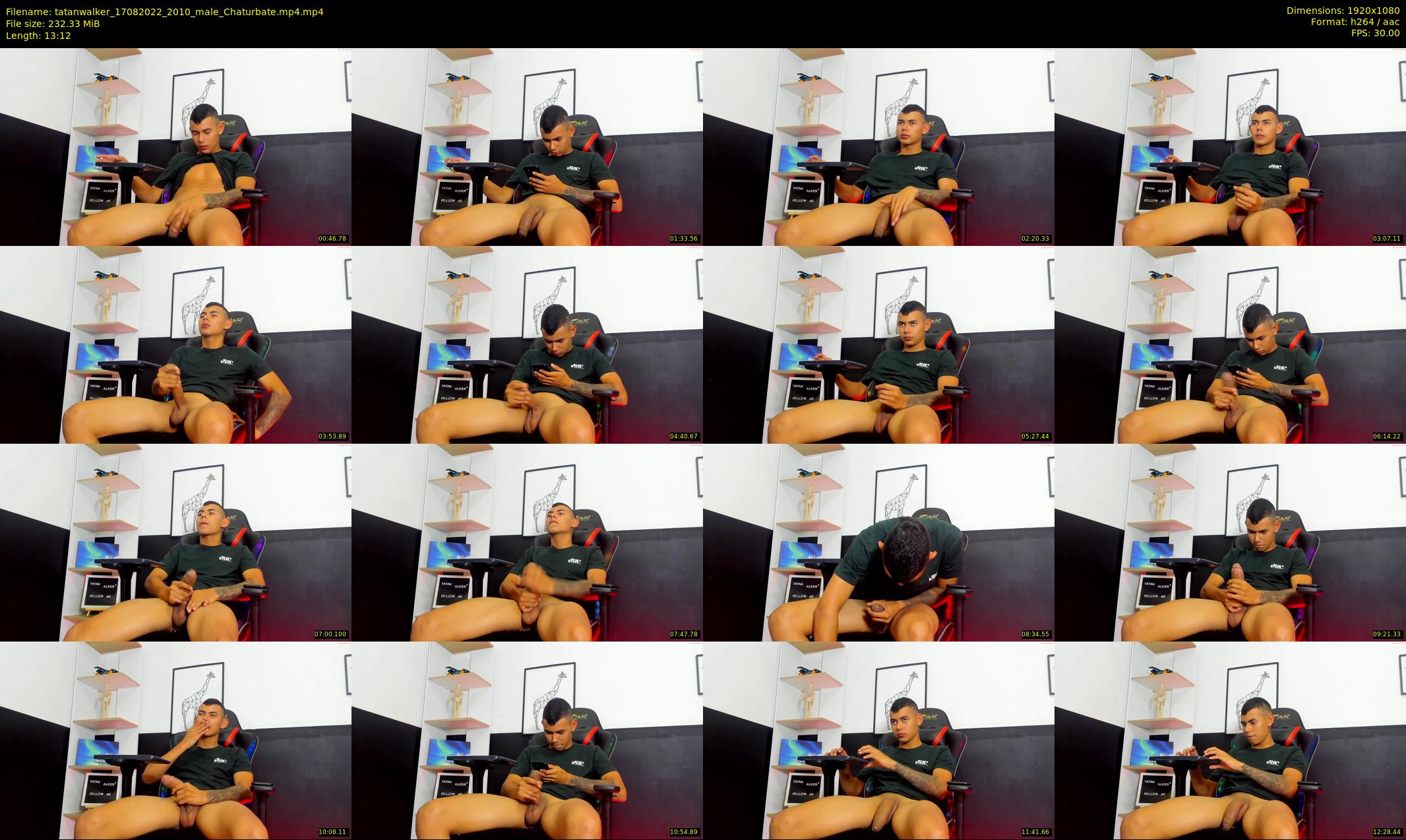 tatanwalker — 14 minute Chaturbate male cam show recording, 1080p, Aug 17, 2022