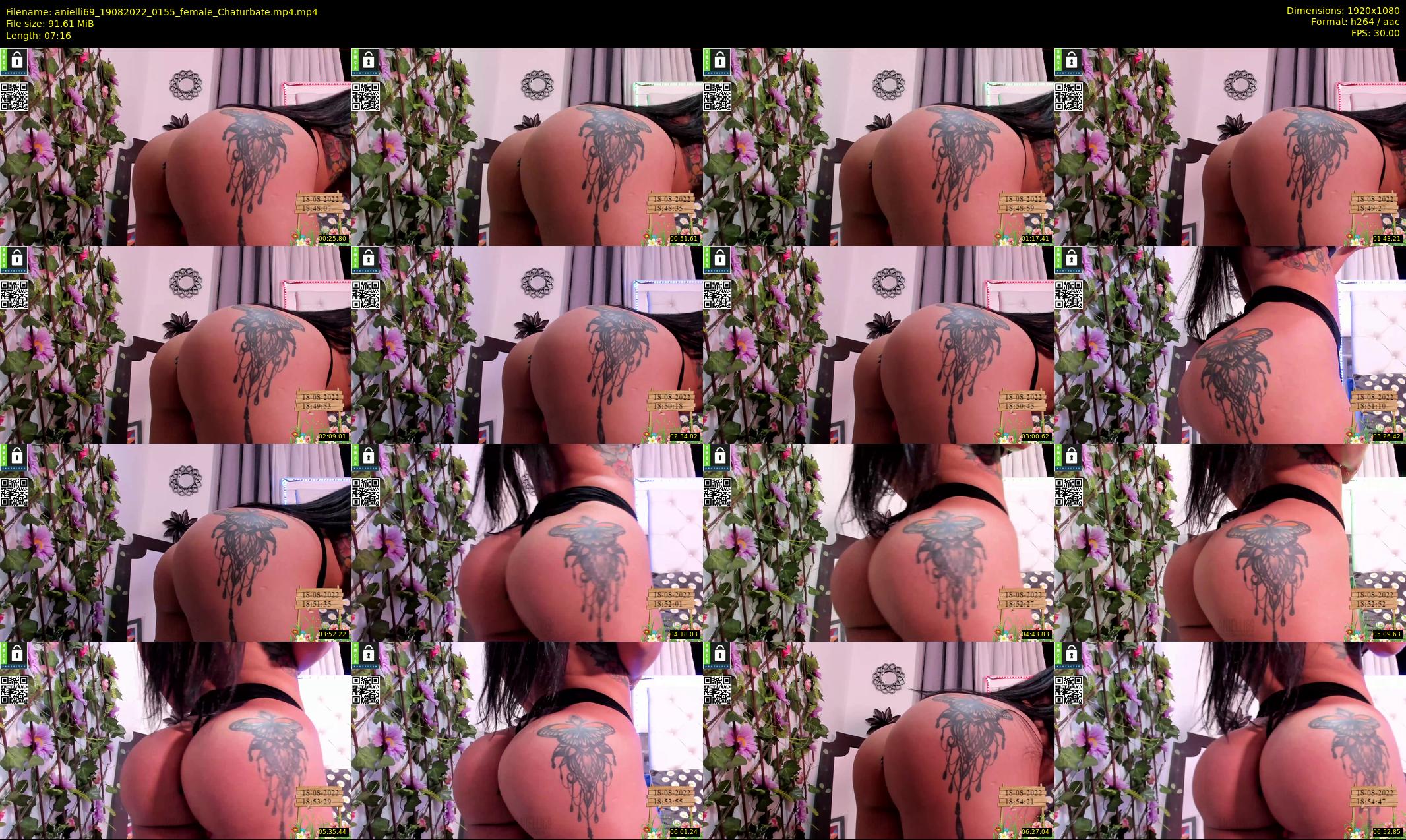 anielli69 — 8 minute Chaturbate female cam show recording, 1080p, Aug 19, 2022