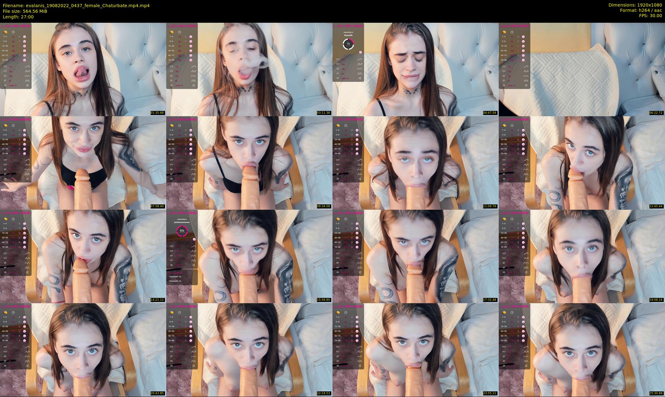 evalanis — 27 minute Chaturbate couple cam show recording, 1080p, Aug 19, 2022