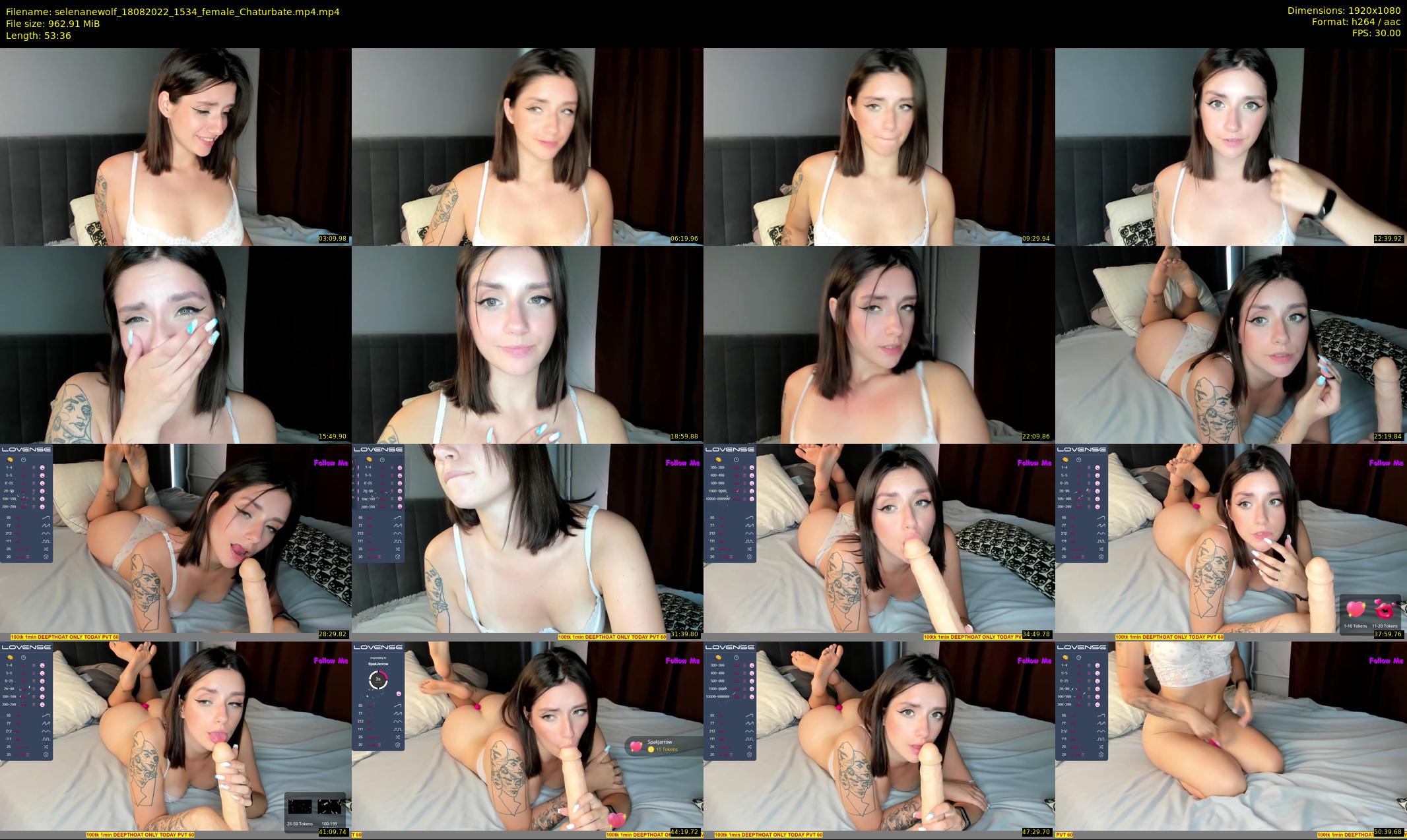 selenanewolf — 54 minute Chaturbate couple cam show recording, 1080p, Aug 18, 2022