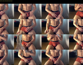 bestdick1991 — 19 minute Chaturbate male cam show recording, 720p, Aug 19, 2022