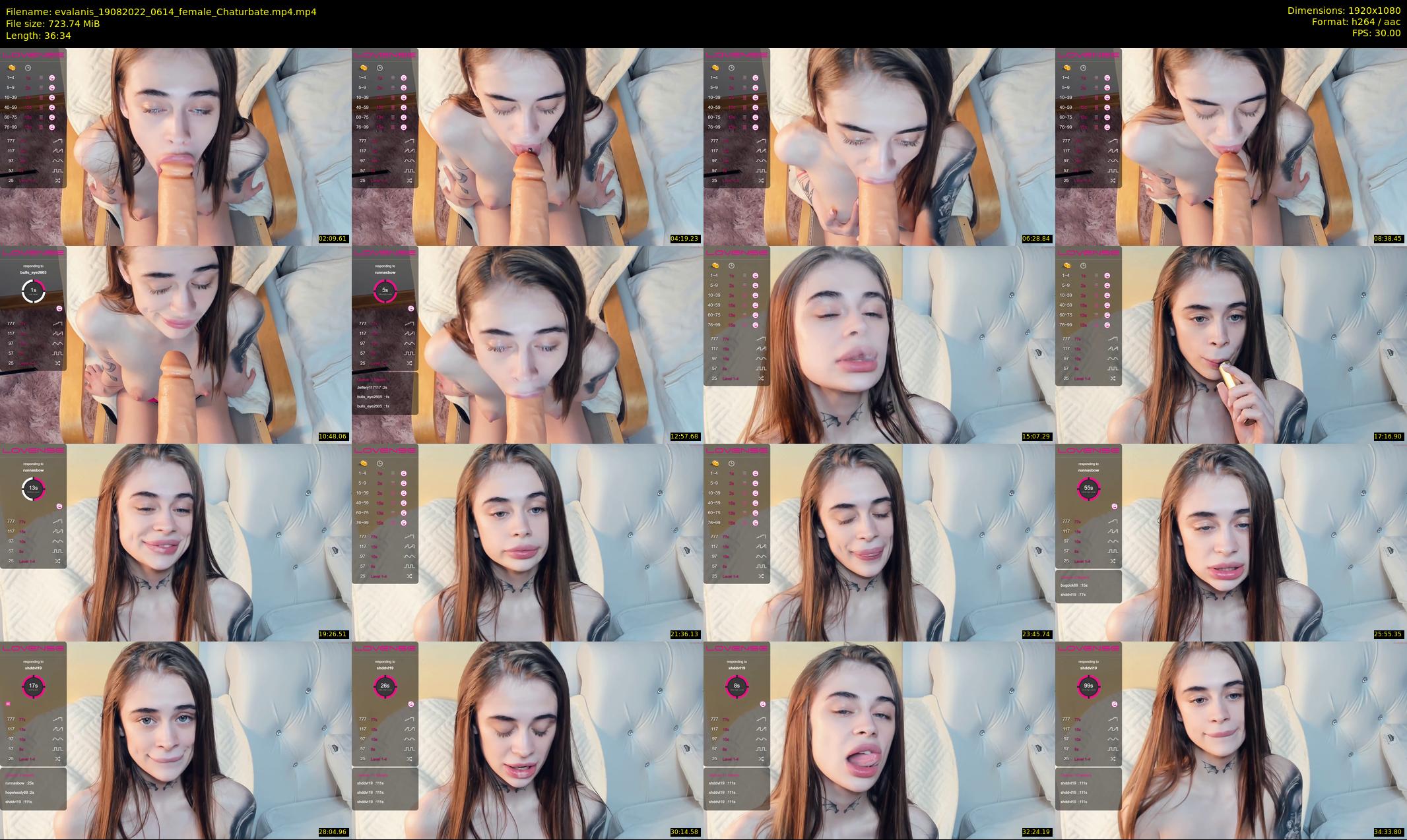 evalanis — 37 minute Chaturbate couple cam show recording, 1080p, Aug 19, 2022