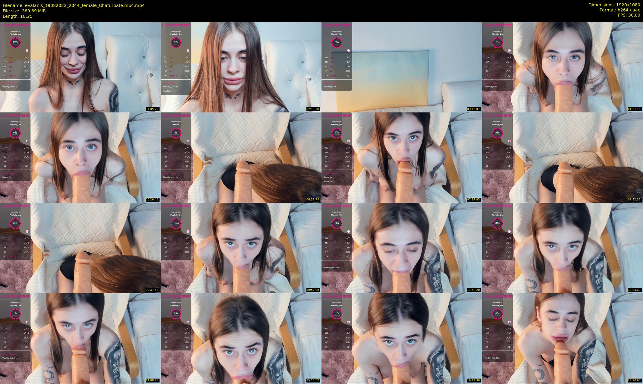 evalanis — 19 minute Chaturbate couple cam show recording, 1080p, Aug 19, 2022