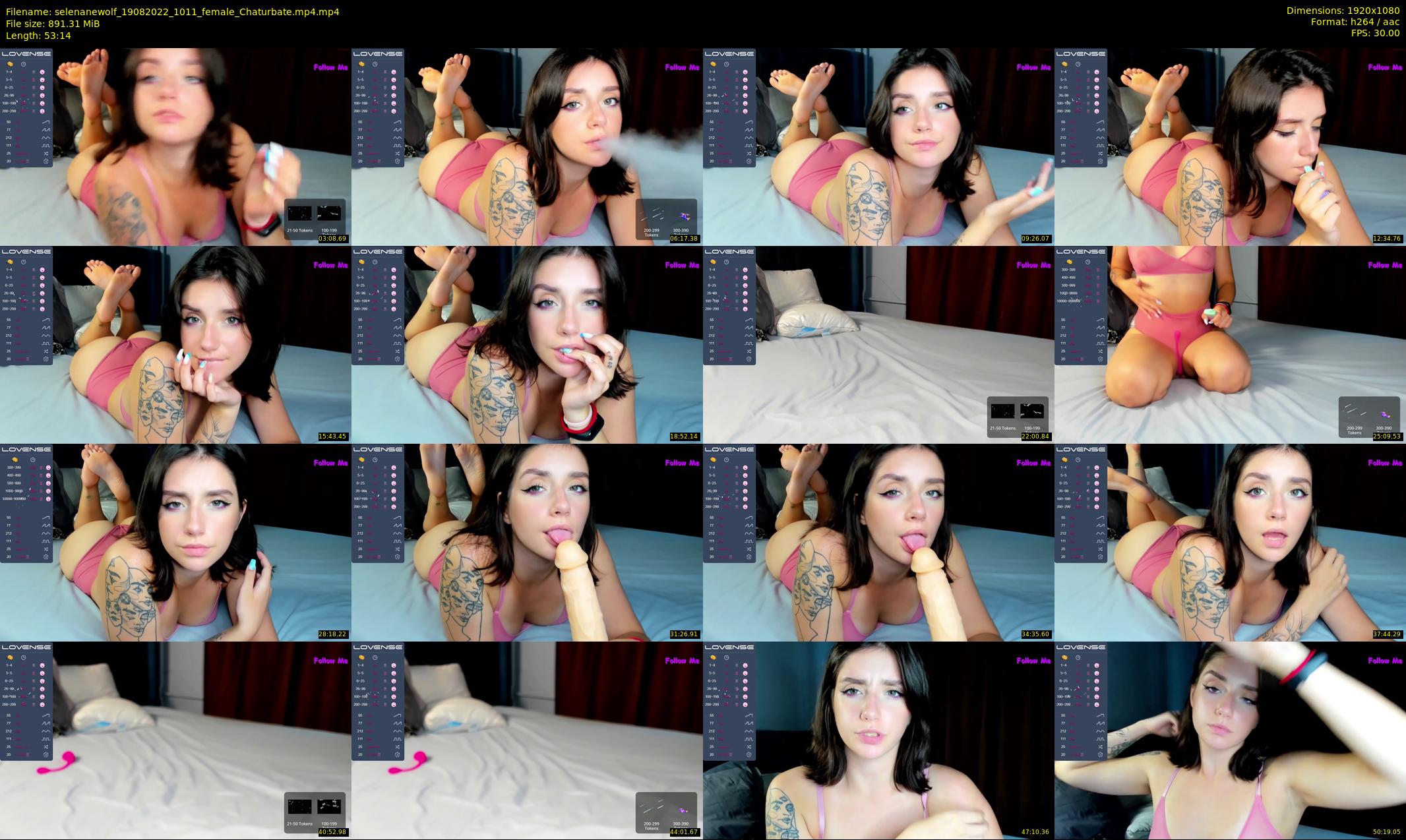 selenanewolf — 54 minute Chaturbate couple cam show recording, 1080p, Aug 19, 2022
