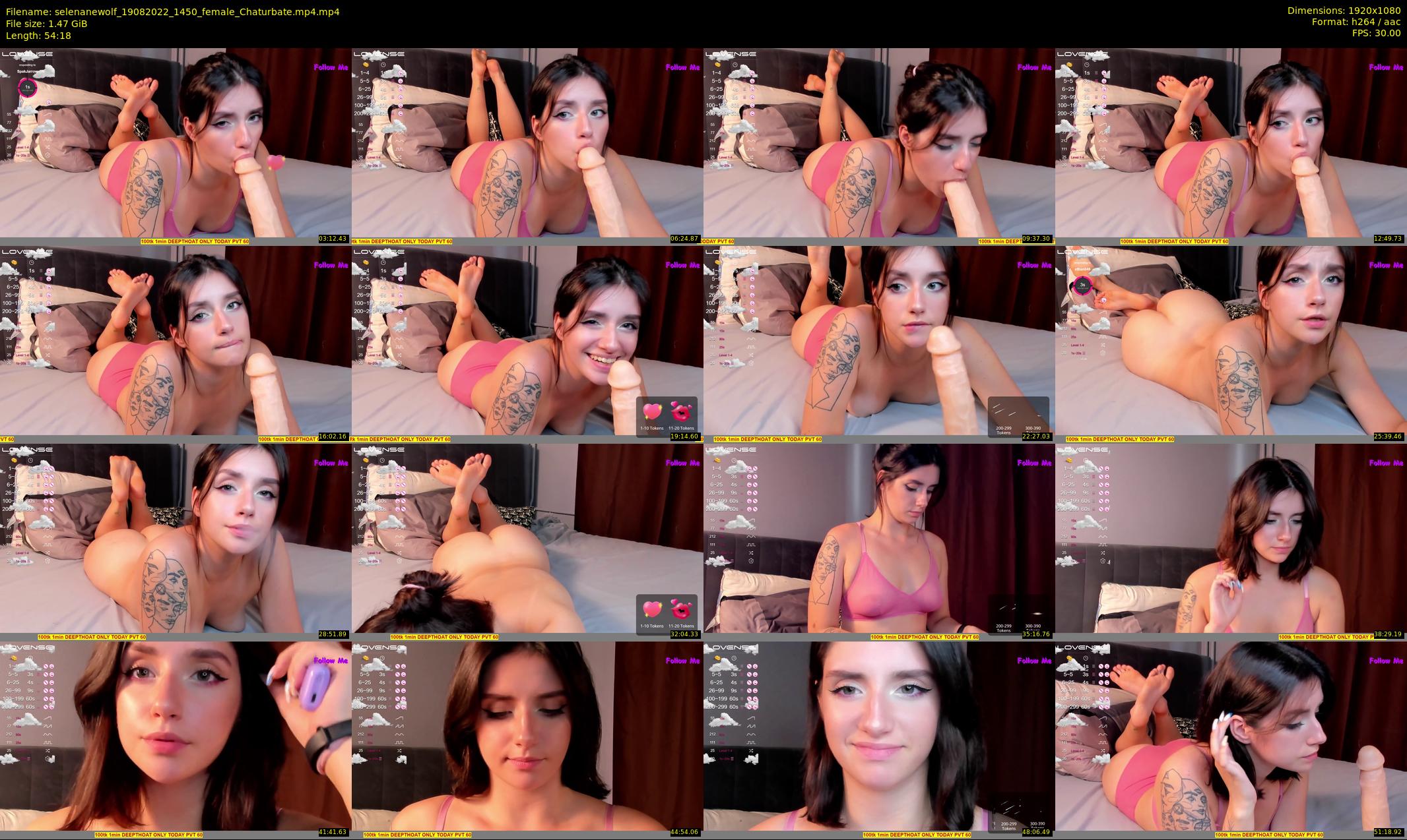 selenanewolf — 55 minute Chaturbate couple cam show recording, 1080p, Aug 19, 2022