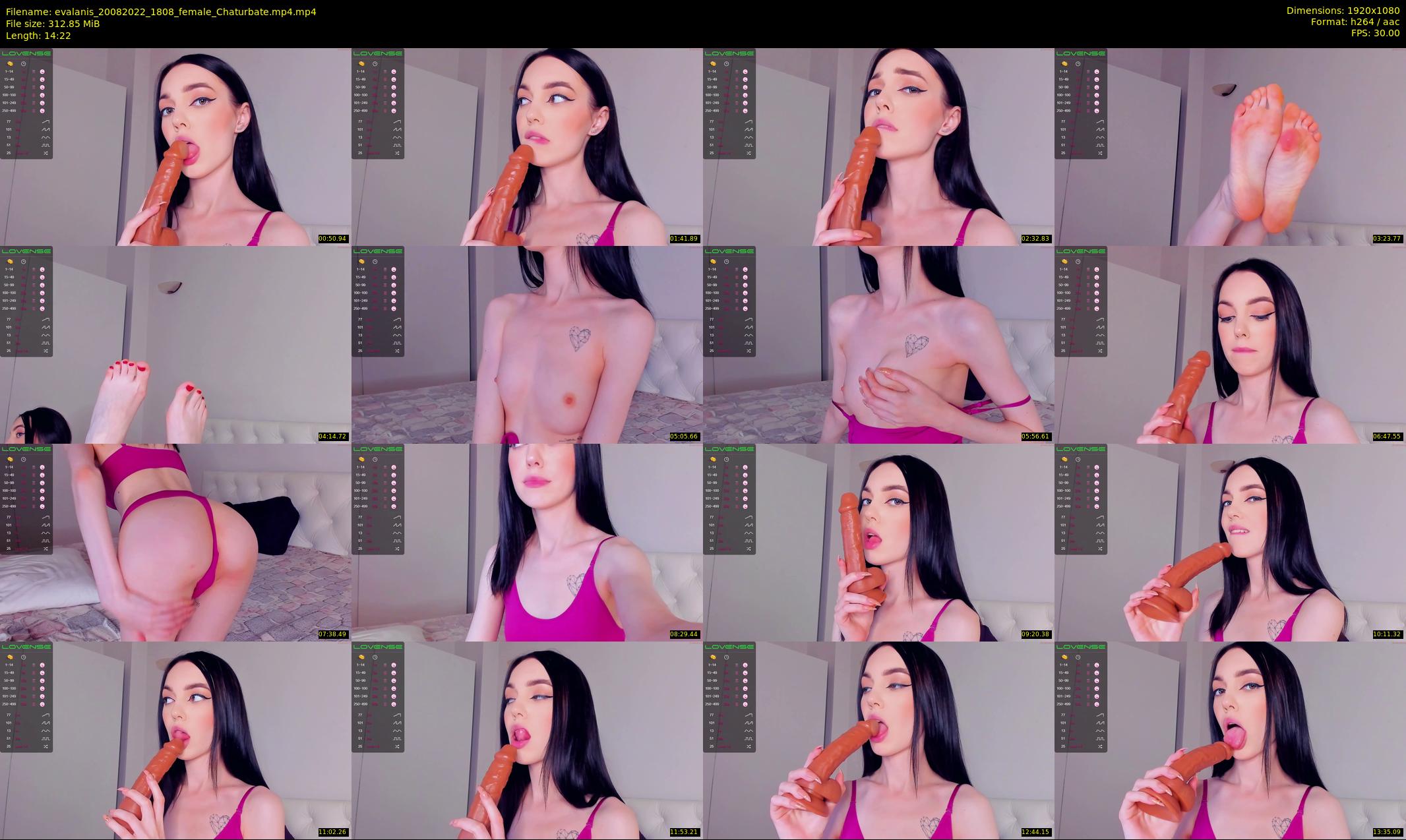 evalanis — 15 minute Chaturbate couple cam show recording, 1080p, Aug 20, 2022