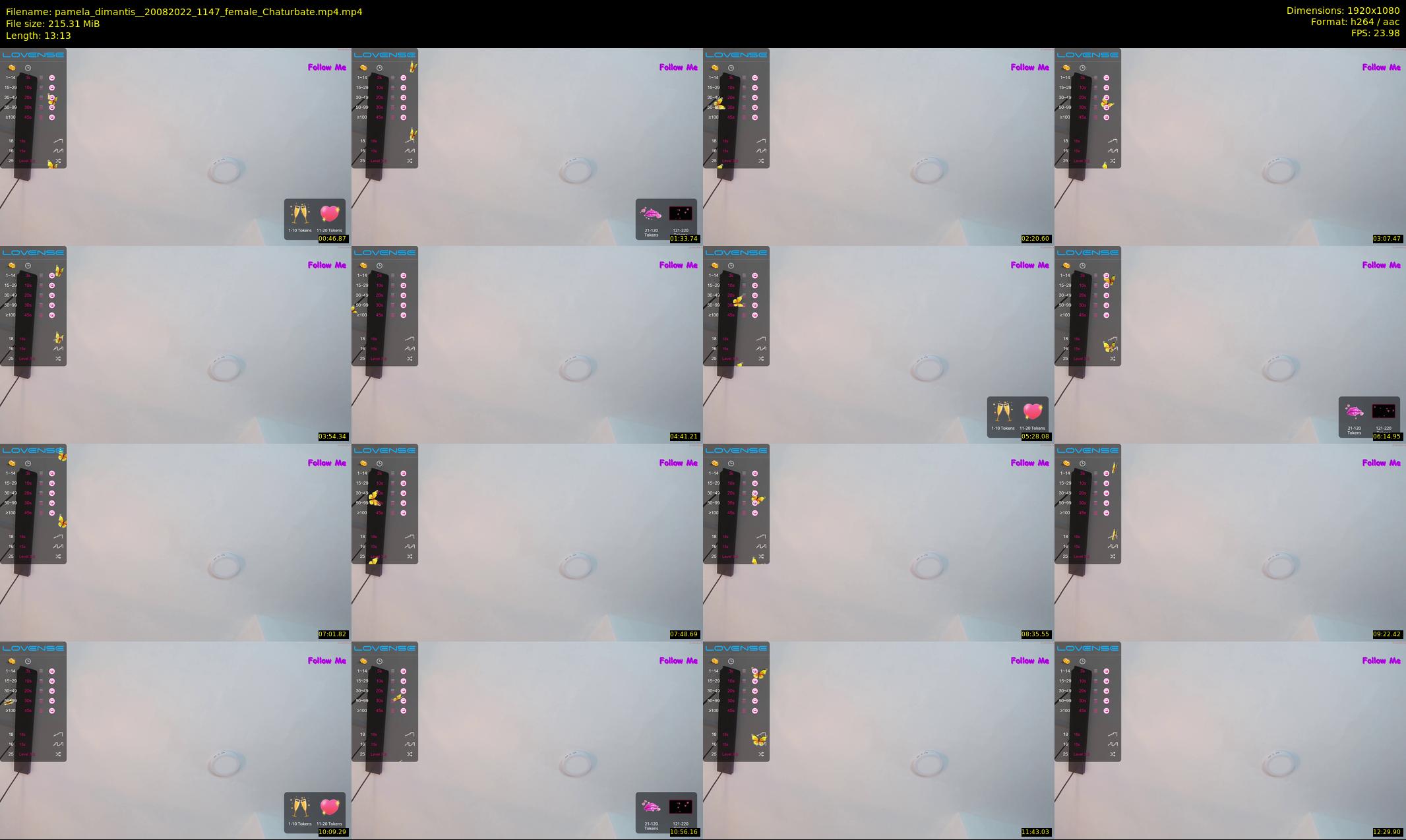 pamela_dimantis_ — 14 minute Chaturbate female cam show recording, 1080p, Aug 20, 2022