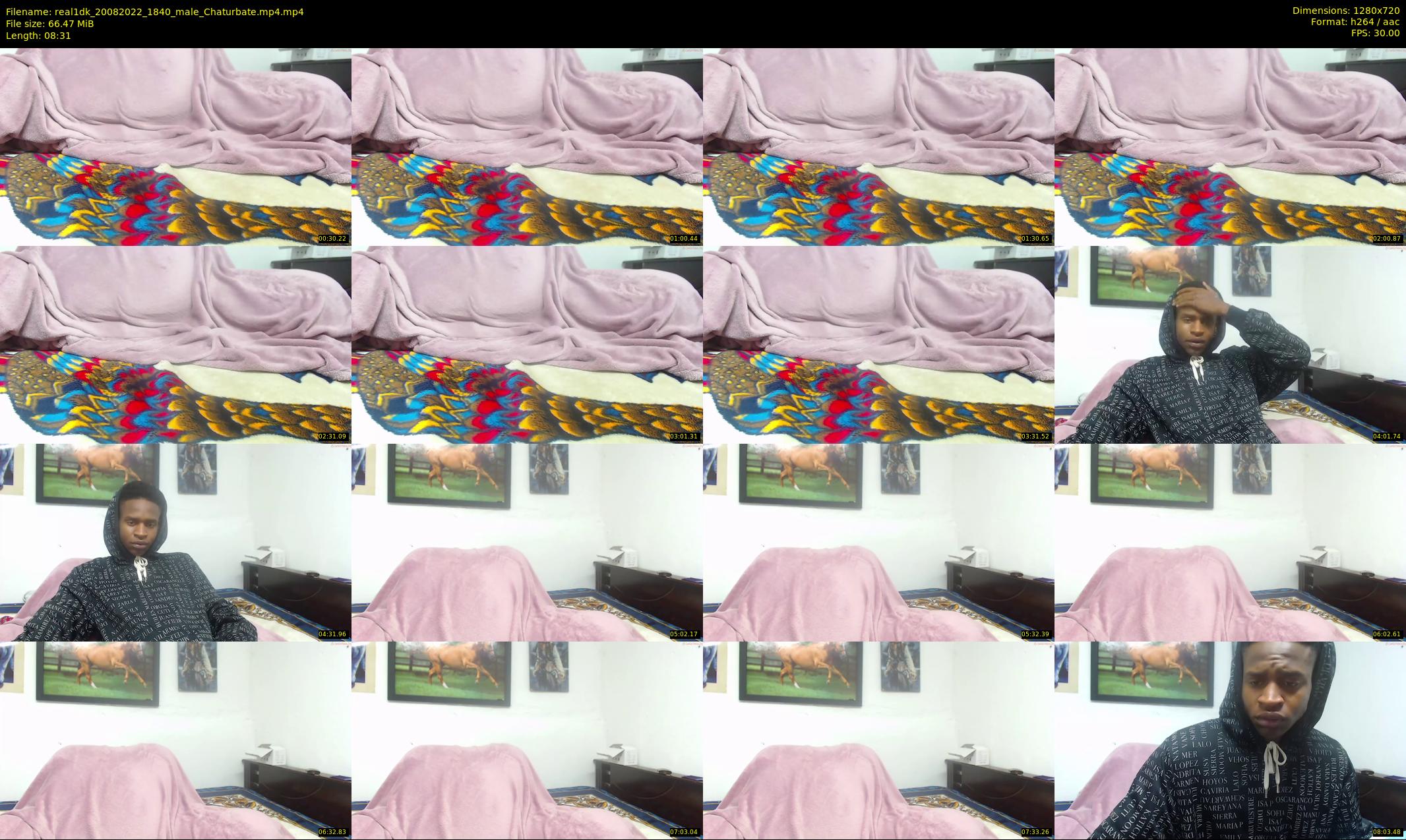 real1dk — 9 minute Chaturbate male cam show recording, 720p, Aug 20, 2022