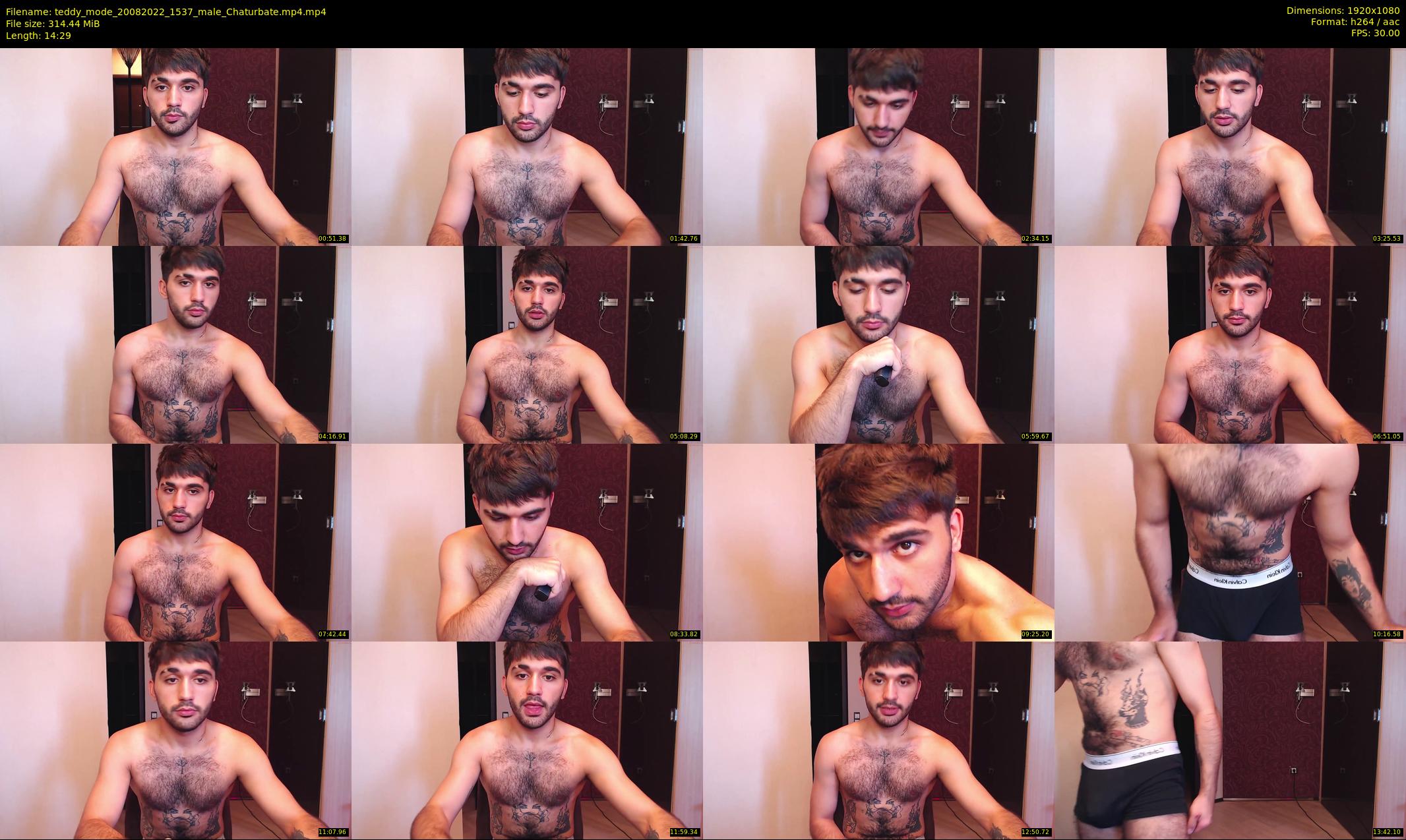 teddy_mode — 15 minute Chaturbate couple cam show recording, 1080p, Aug 20, 2022