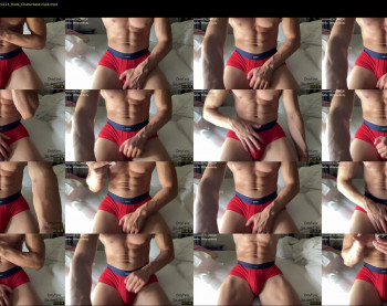bestdick1991 — 17 minute Chaturbate male cam show recording, 720p, Aug 22, 2022