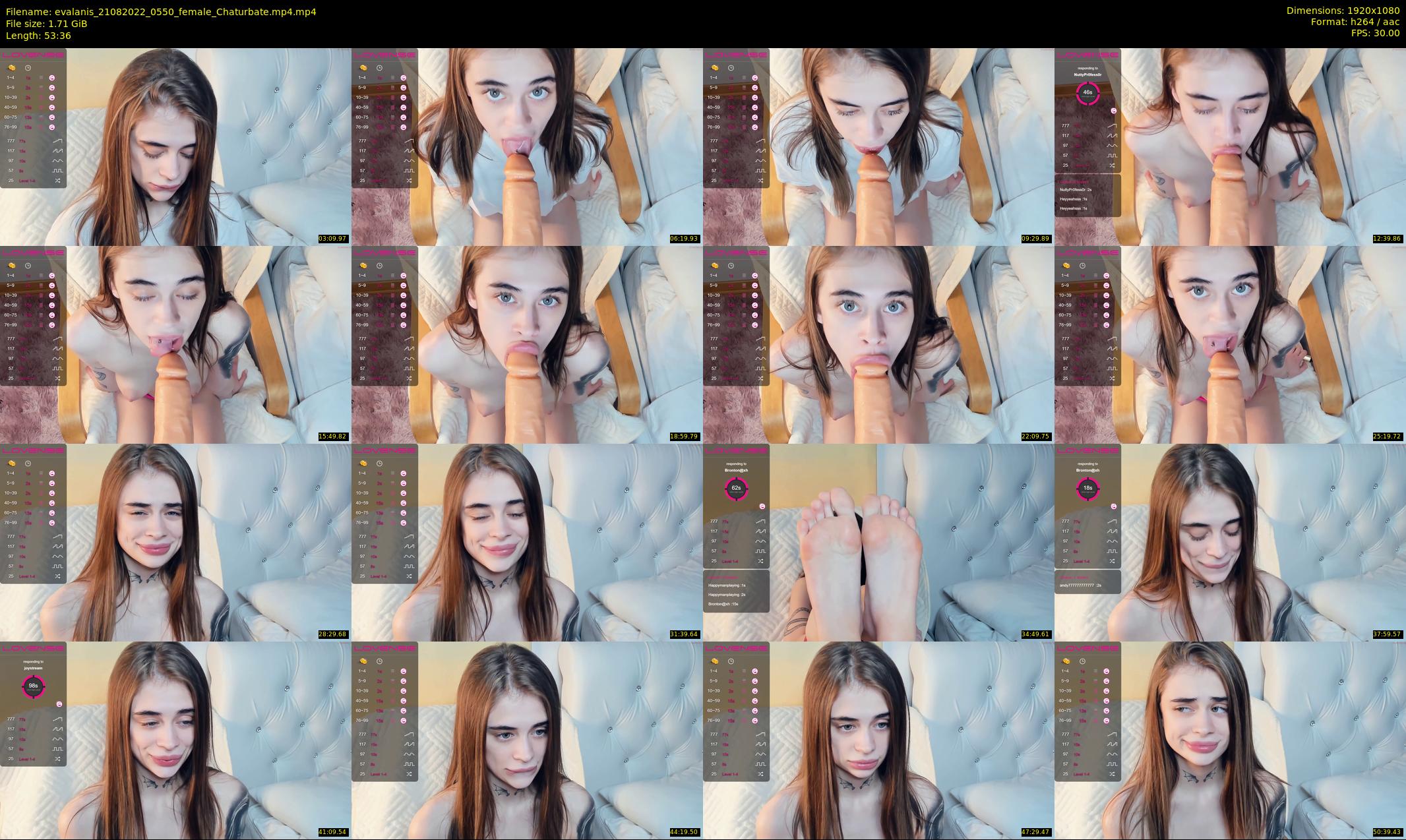 evalanis — 54 minute Chaturbate couple cam show recording, 1080p, Aug 21, 2022