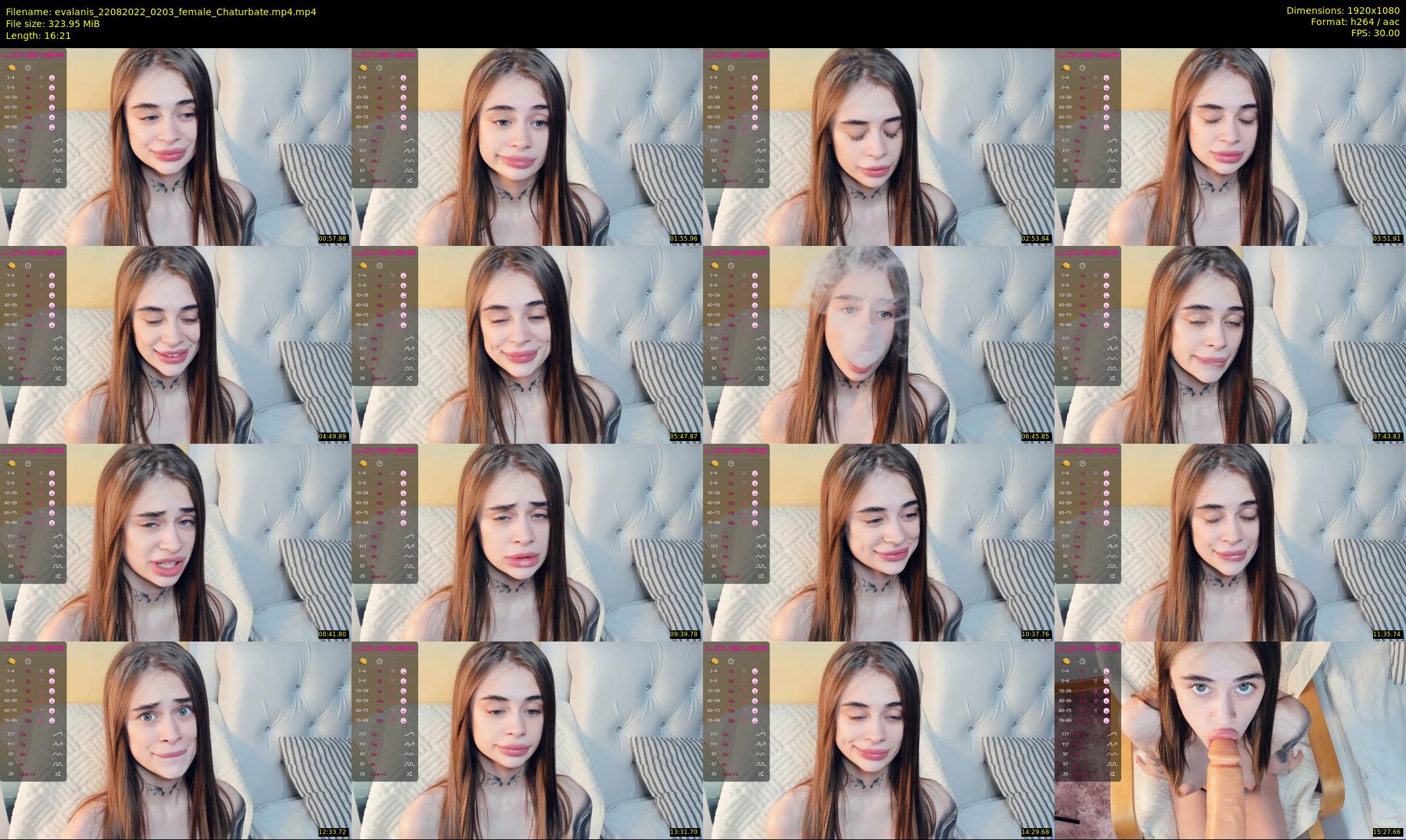 evalanis — 17 minute Chaturbate couple cam show recording, 1080p, Aug 22, 2022