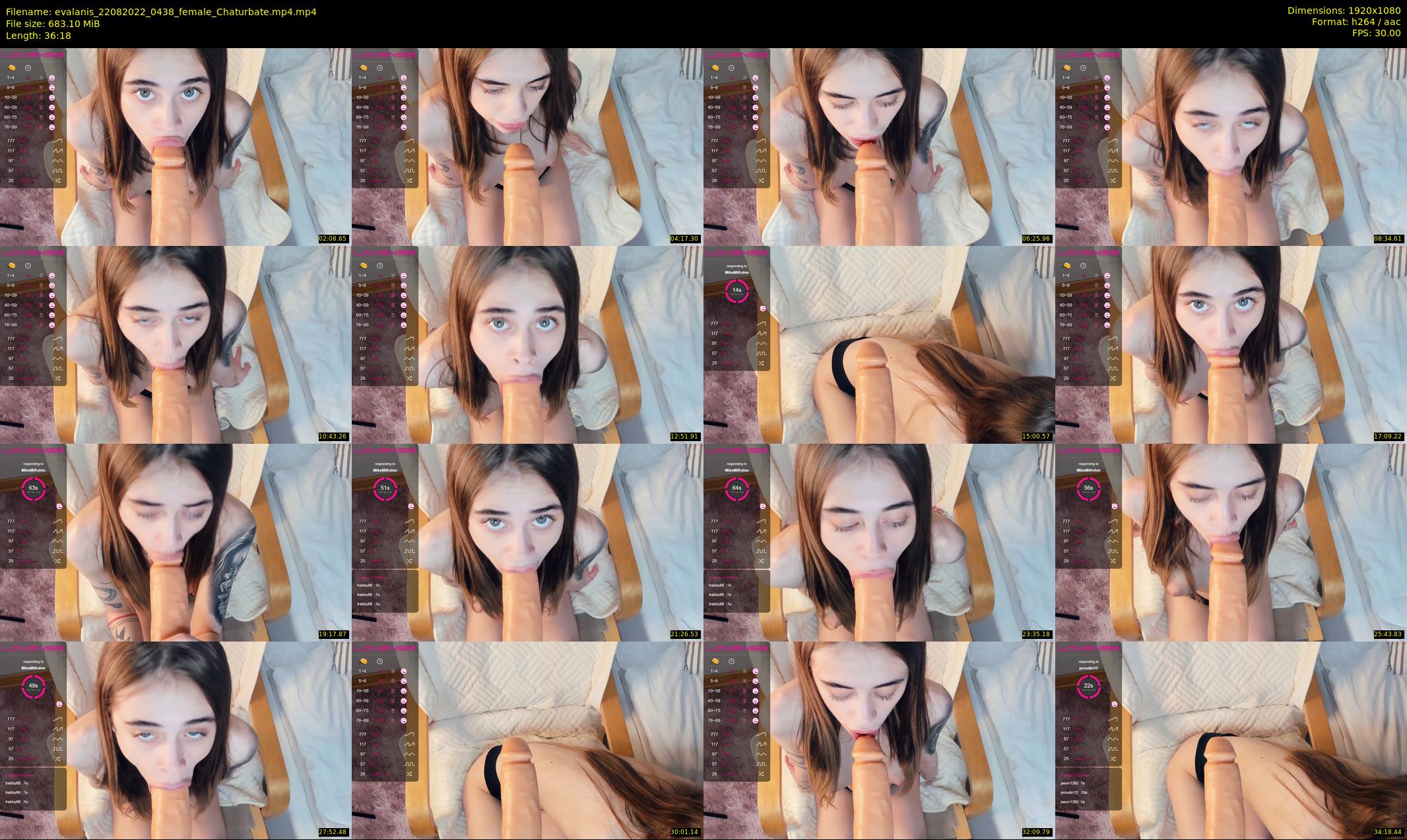 evalanis — 37 minute Chaturbate couple cam show recording, 1080p, Aug 22, 2022