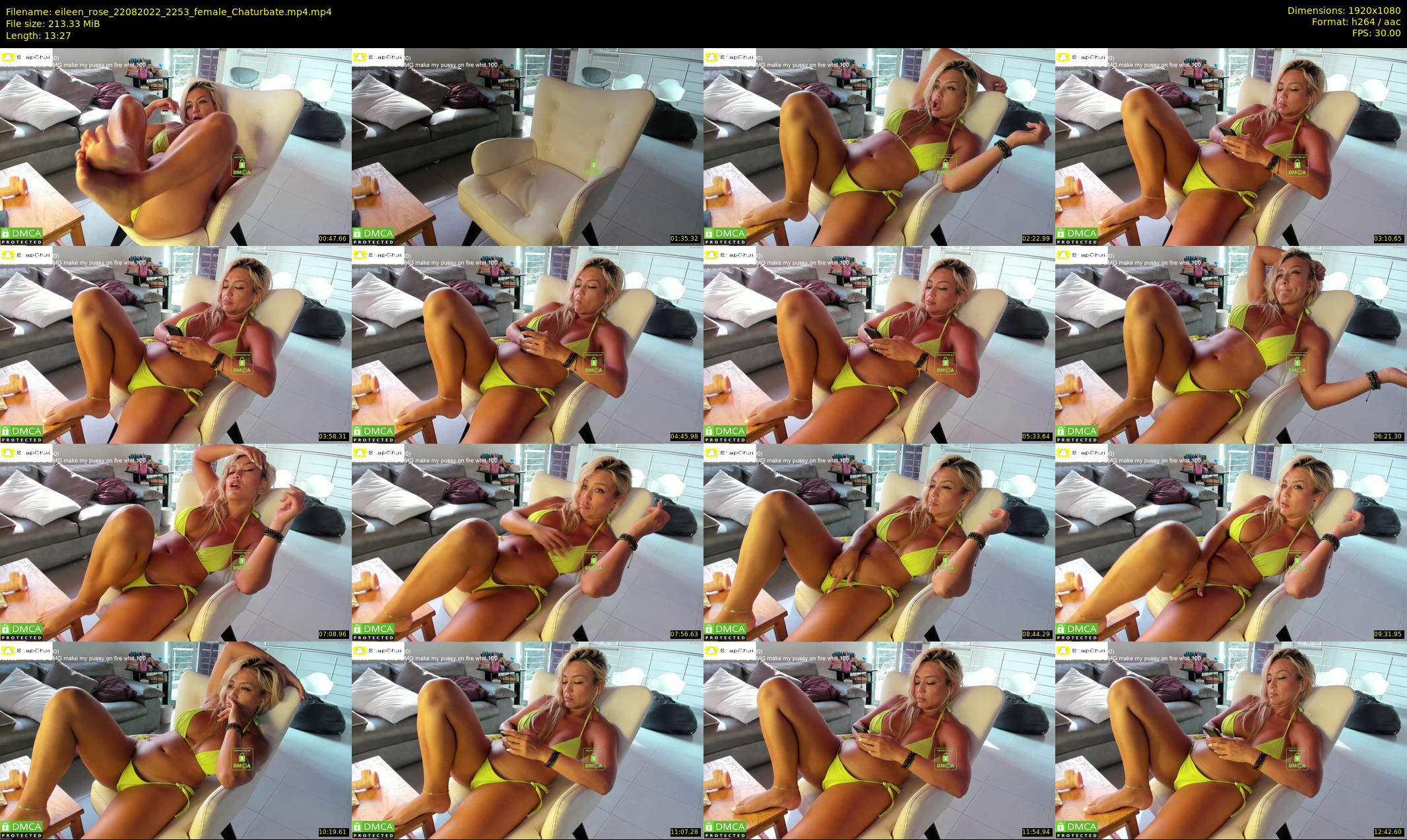 eileen_rose — 14 minute Chaturbate female cam show recording, 1080p, Aug 22, 2022