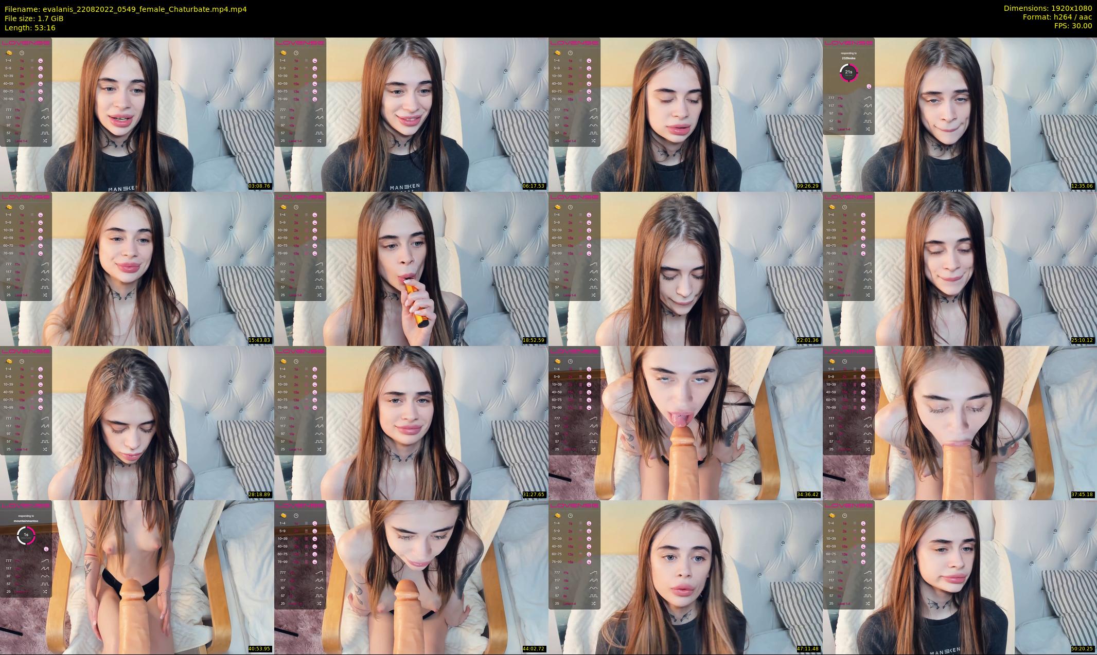 evalanis — 54 minute Chaturbate couple cam show recording, 1080p, Aug 22, 2022