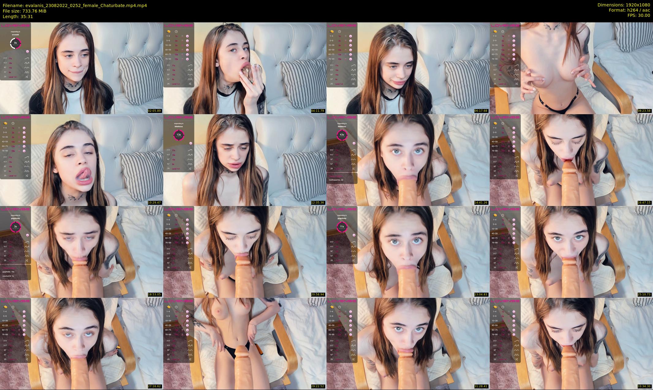 evalanis — 36 minute Chaturbate couple cam show recording, 1080p, Aug 23, 2022