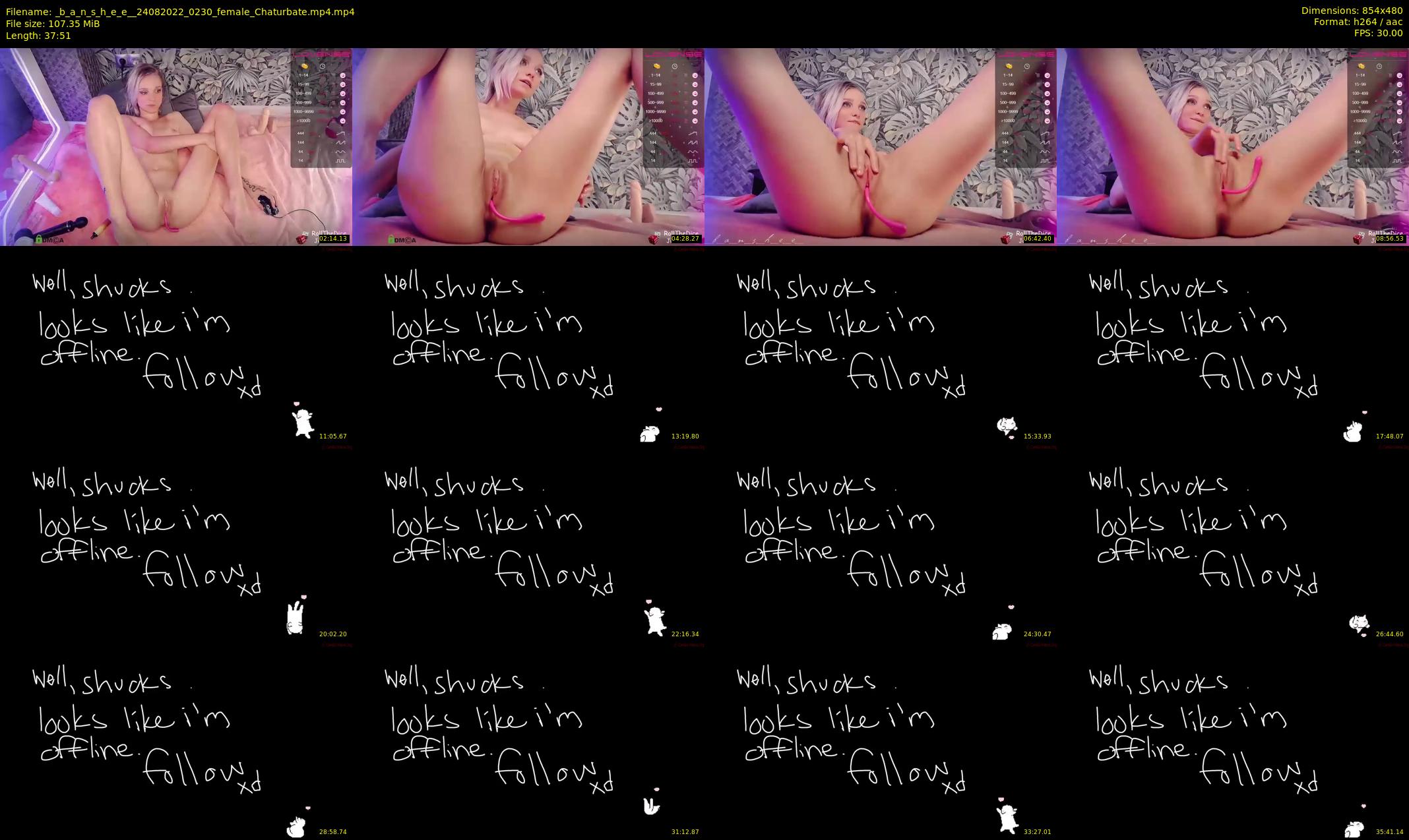 _b_a_n_s_h_e_e_ — 38 minute Chaturbate female cam show recording, 480p, Aug 24, 2022