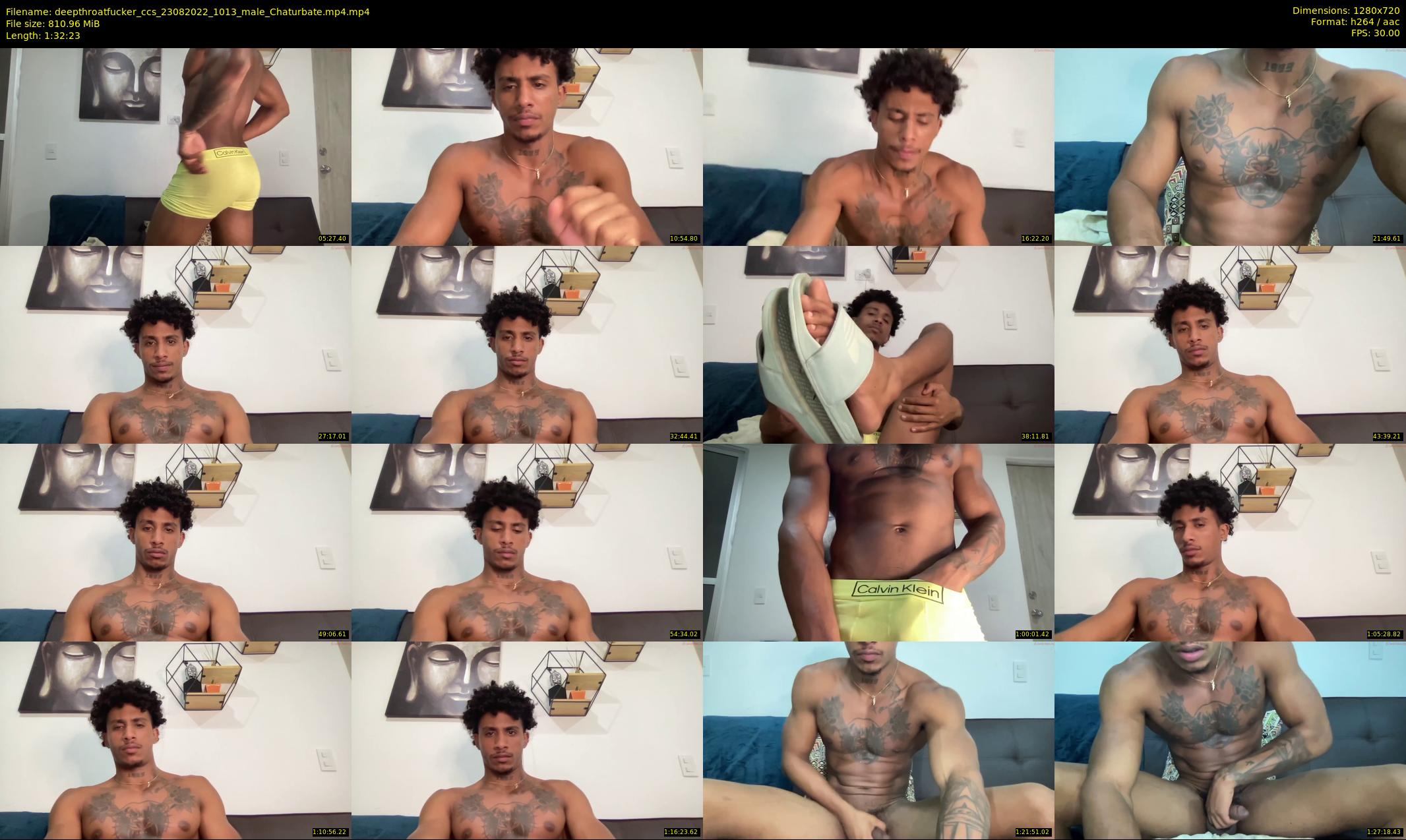 deepthroatfucker_ccs — 93 minute Chaturbate male cam show recording, 720p, Aug 23, 2022