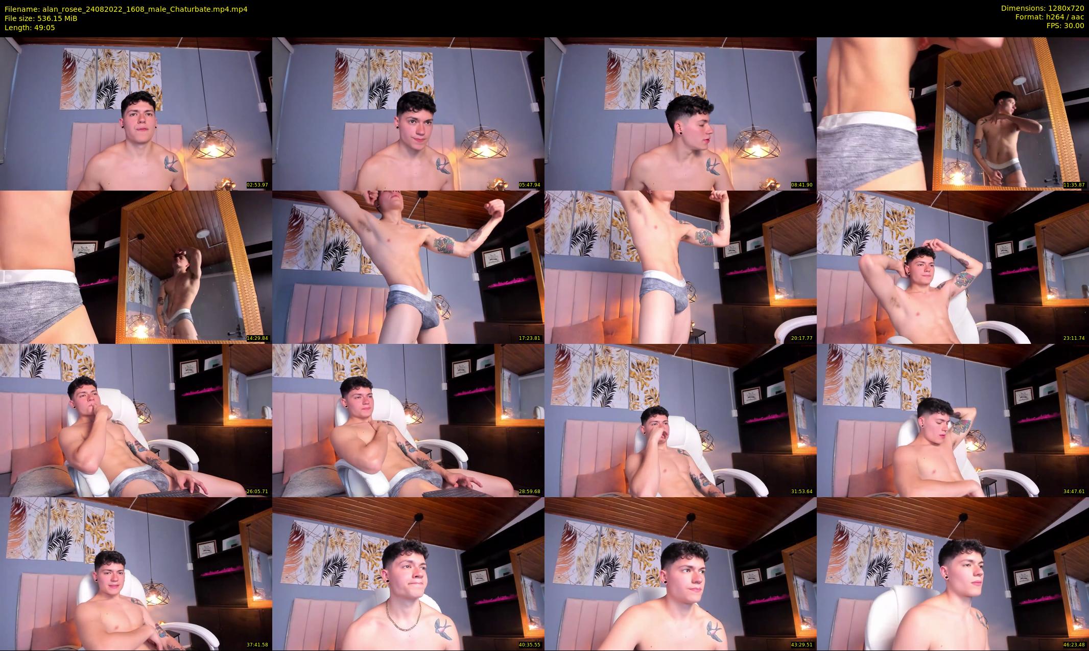alan_rosee — 50 minute Chaturbate male cam show recording, 720p, Aug 24, 2022