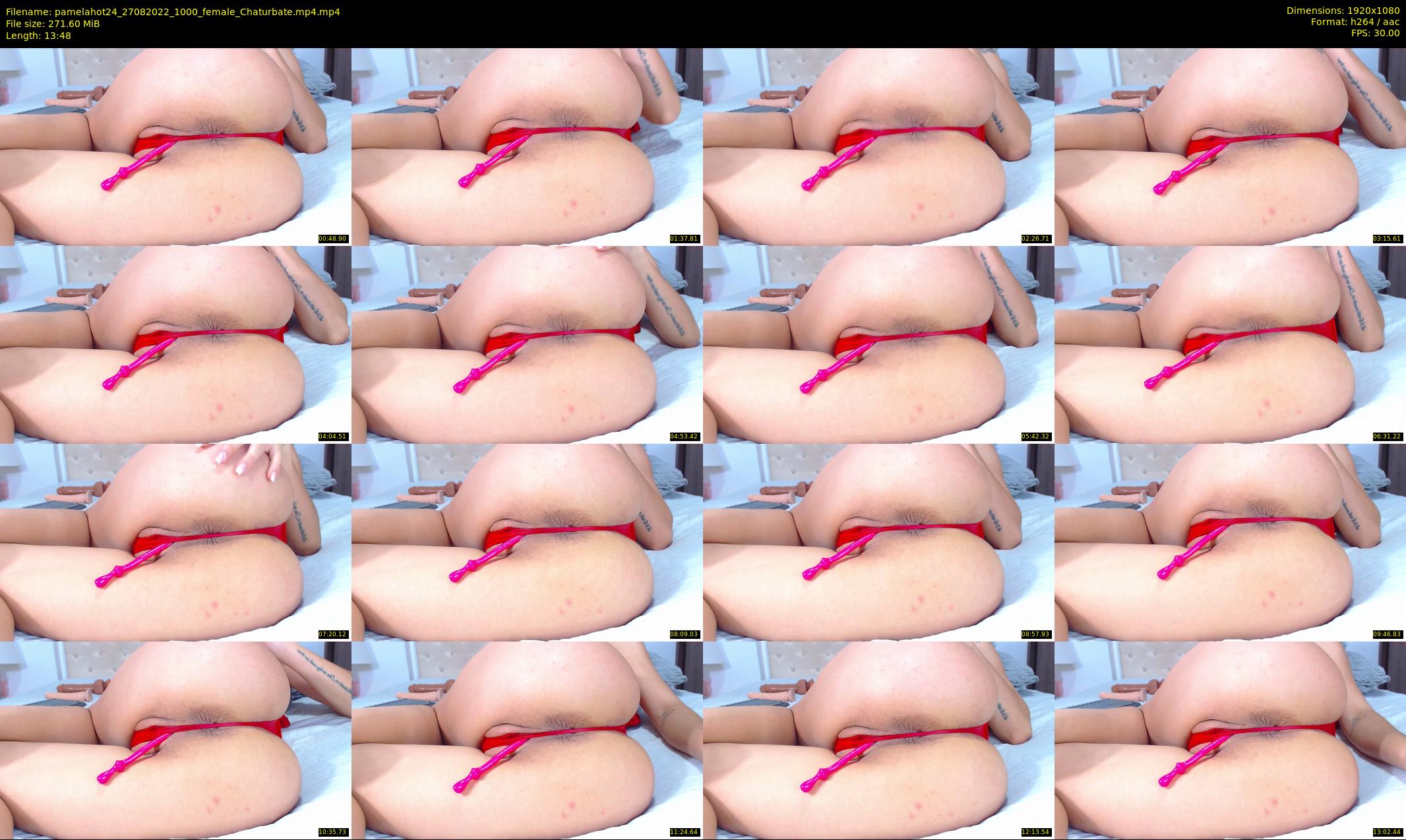 pamelahot24 — 14 minute Chaturbate female cam show recording, 1080p, Aug 27, 2022
