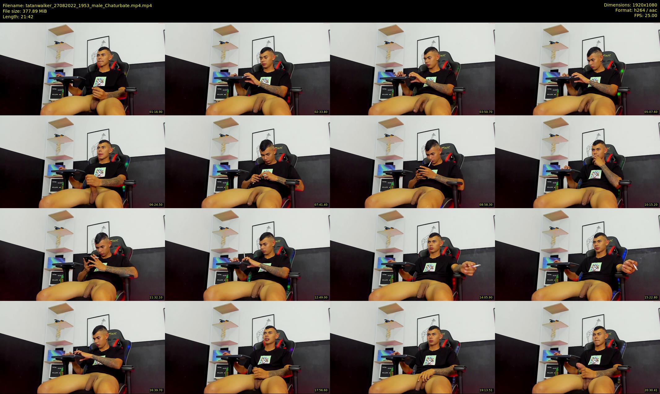 tatanwalker — 22 minute Chaturbate male cam show recording, 1080p, Aug 27, 2022