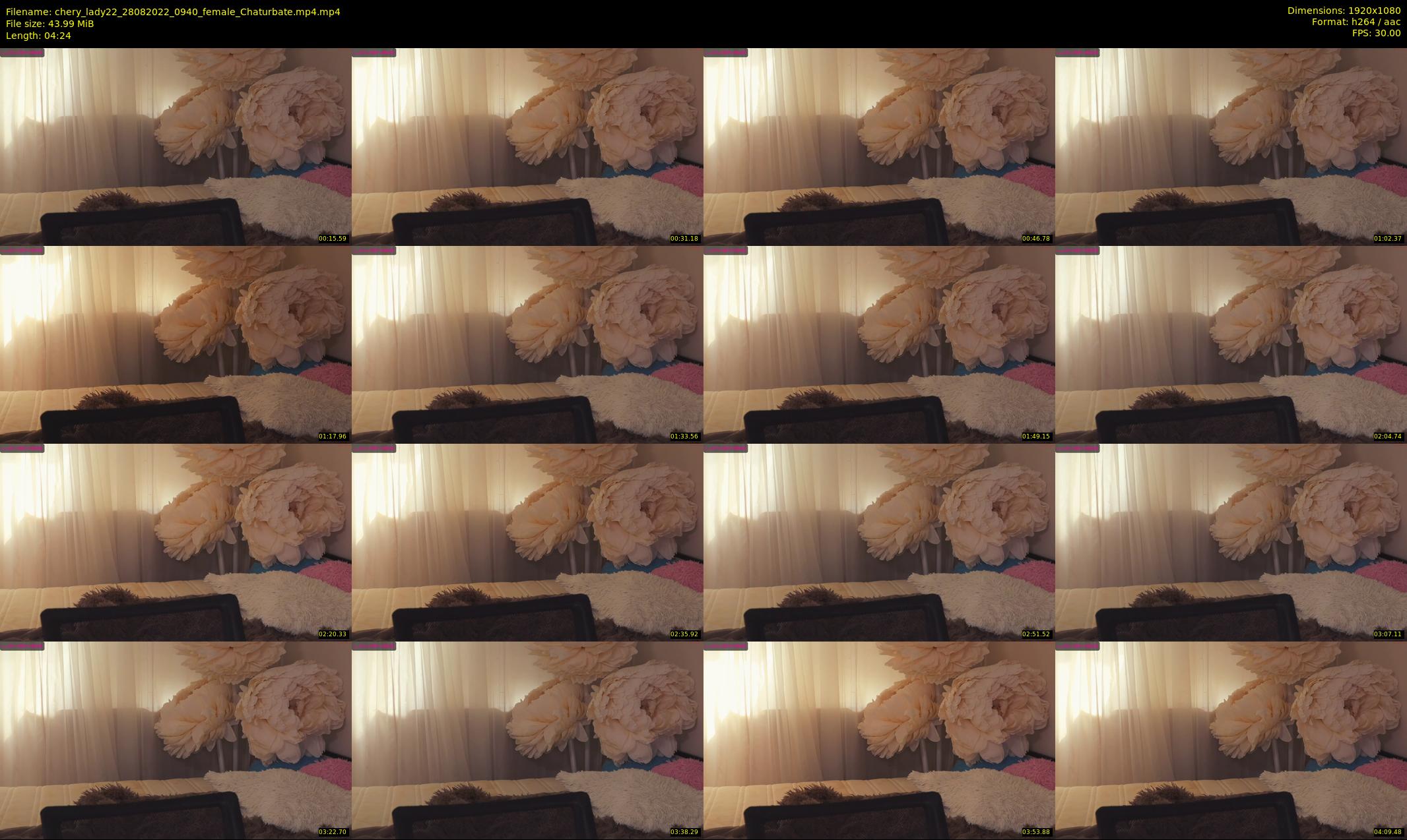 chery_lady22 — 5 minute Chaturbate female cam show recording, 1080p, Aug 28, 2022