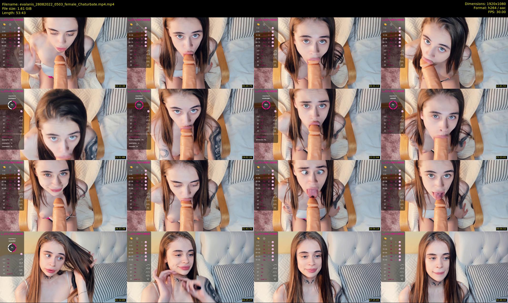 evalanis — 54 minute Chaturbate couple cam show recording, 1080p, Aug 28, 2022