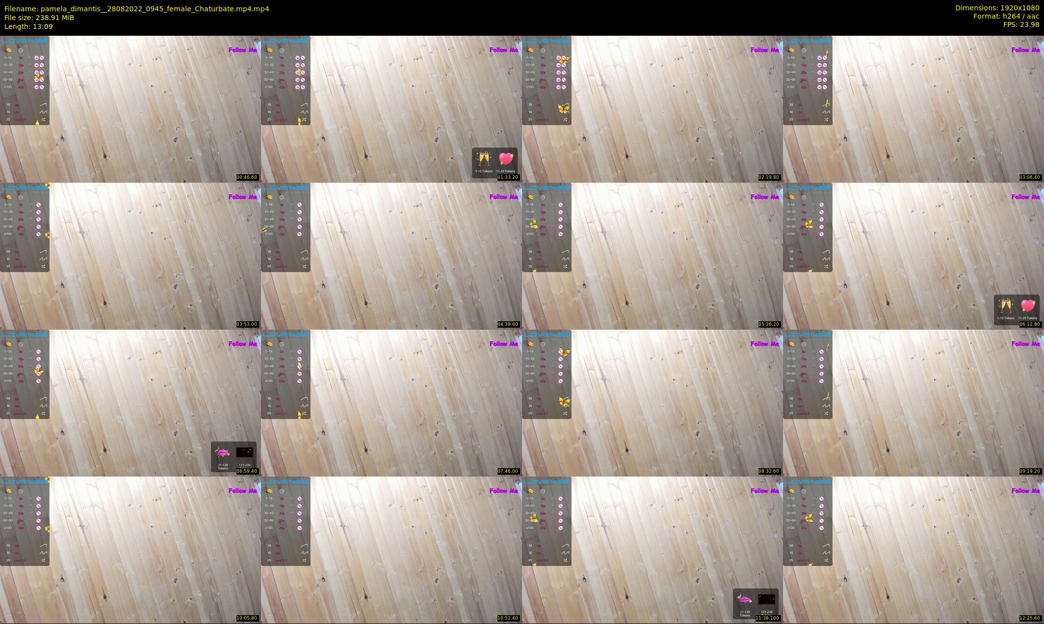 pamela_dimantis_ — 14 minute Chaturbate female cam show recording, 1080p, Aug 28, 2022