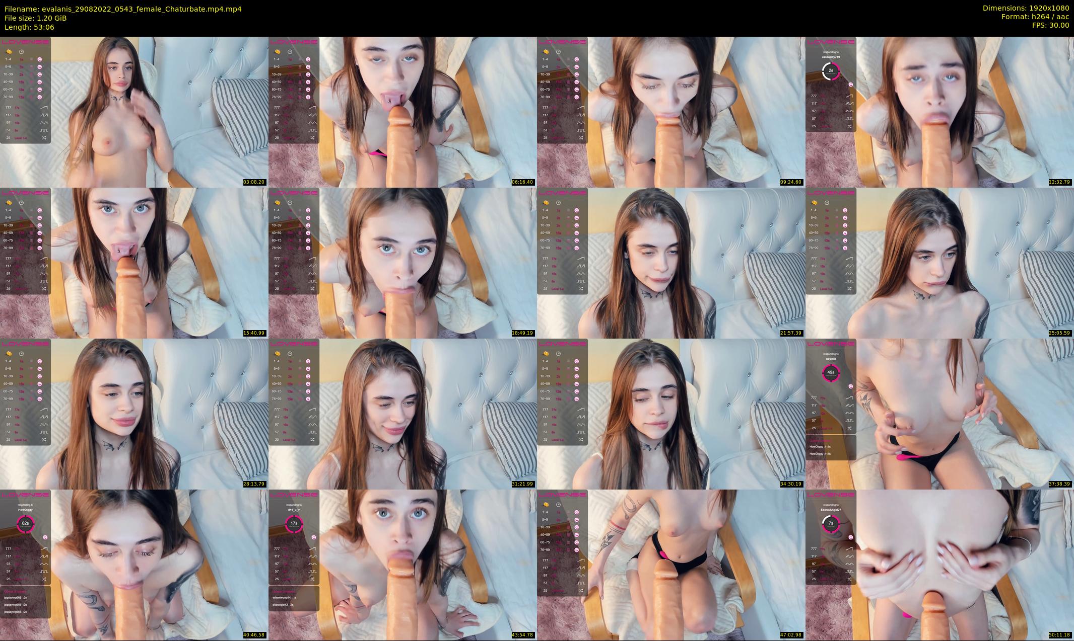 evalanis — 54 minute Chaturbate couple cam show recording, 1080p, Aug 29, 2022