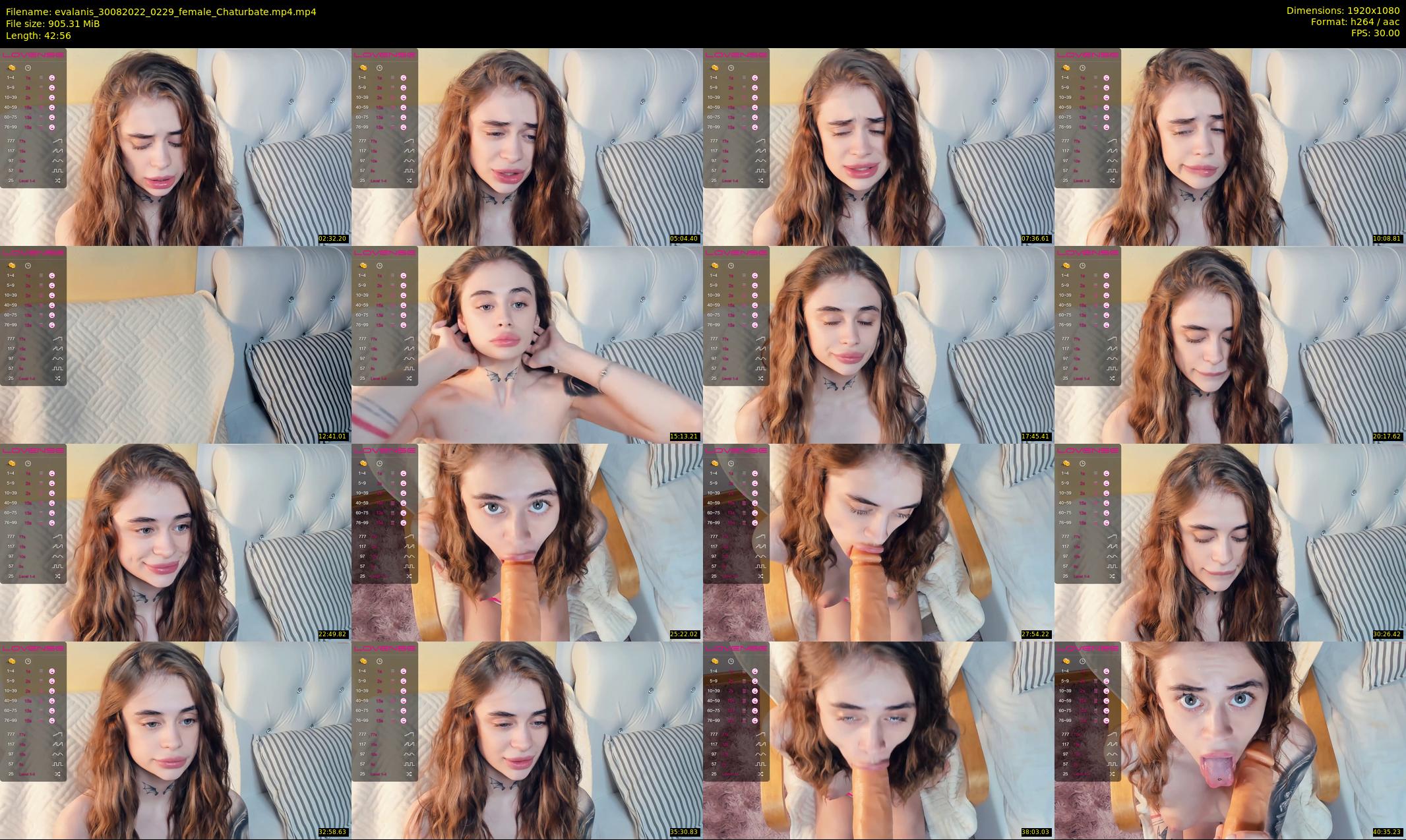 evalanis — 43 minute Chaturbate couple cam show recording, 1080p, Aug 30, 2022