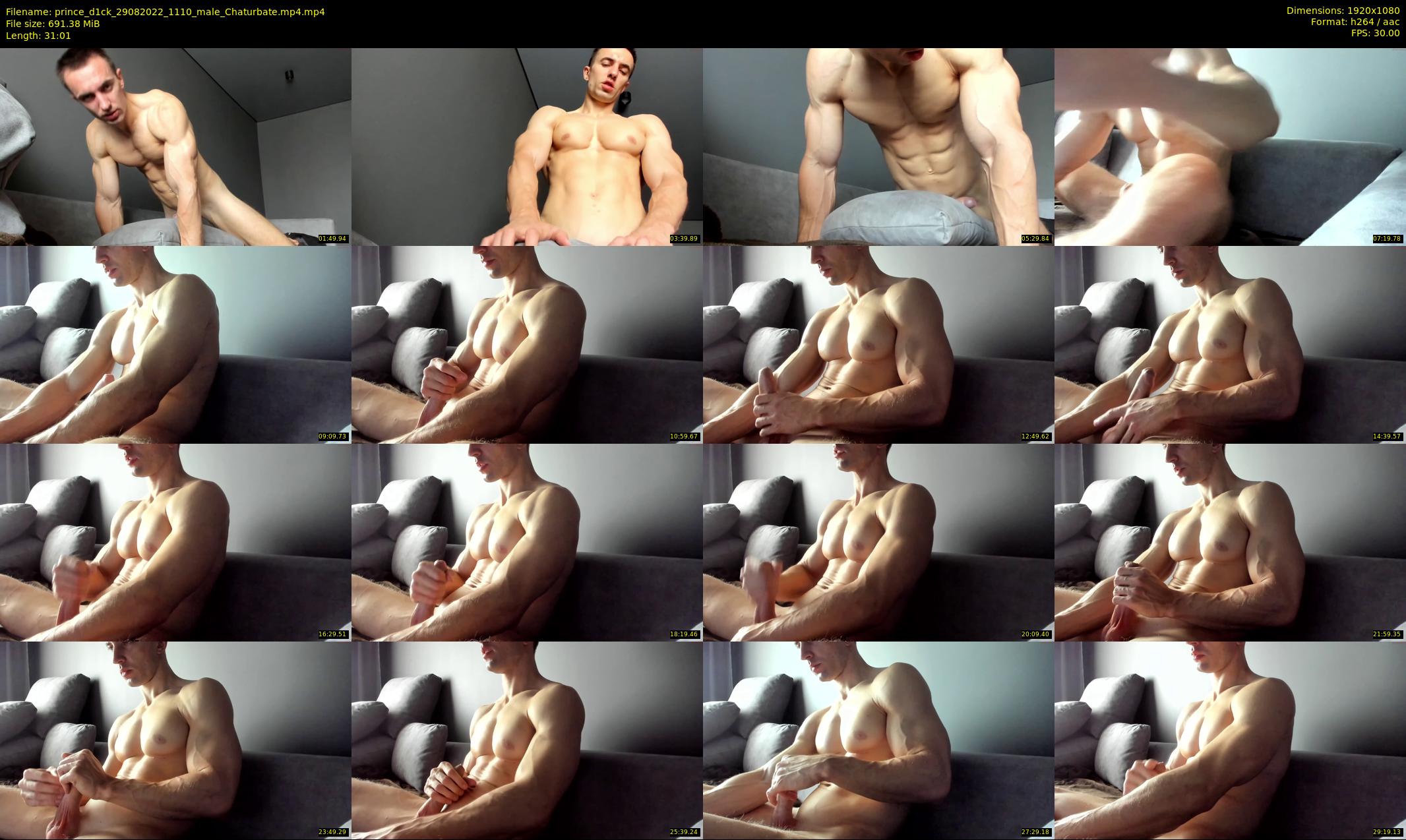 prince_d1ck — 32 minute Chaturbate male cam show recording, 1080p, Aug 29, 2022