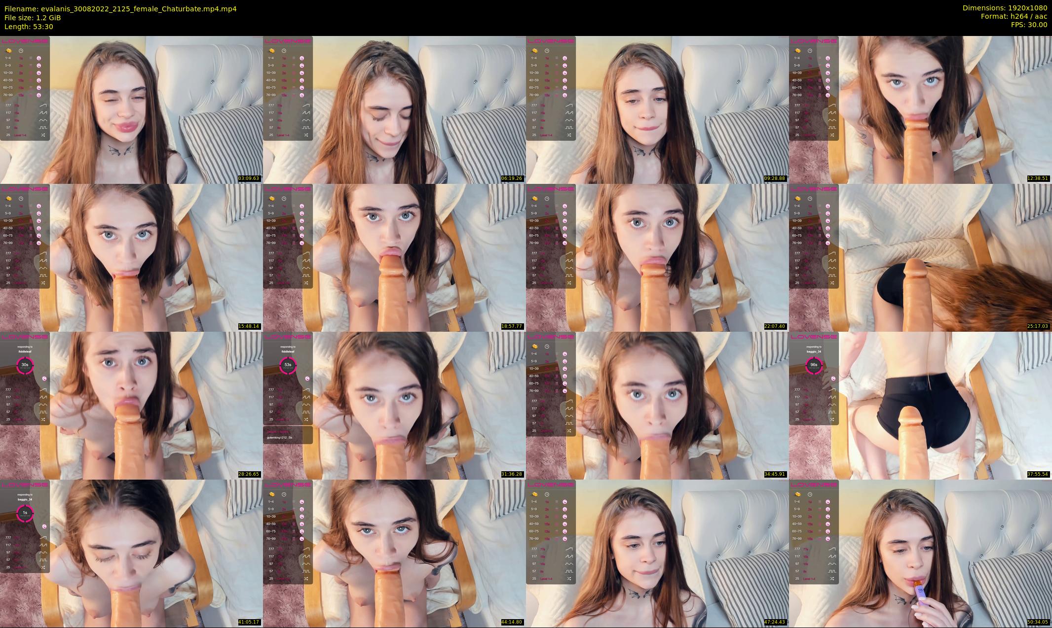 evalanis — 54 minute Chaturbate couple cam show recording, 1080p, Aug 30, 2022