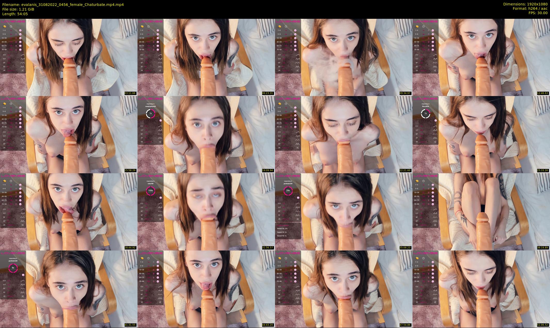 evalanis — 55 minute Chaturbate couple cam show recording, 1080p, Aug 31, 2022