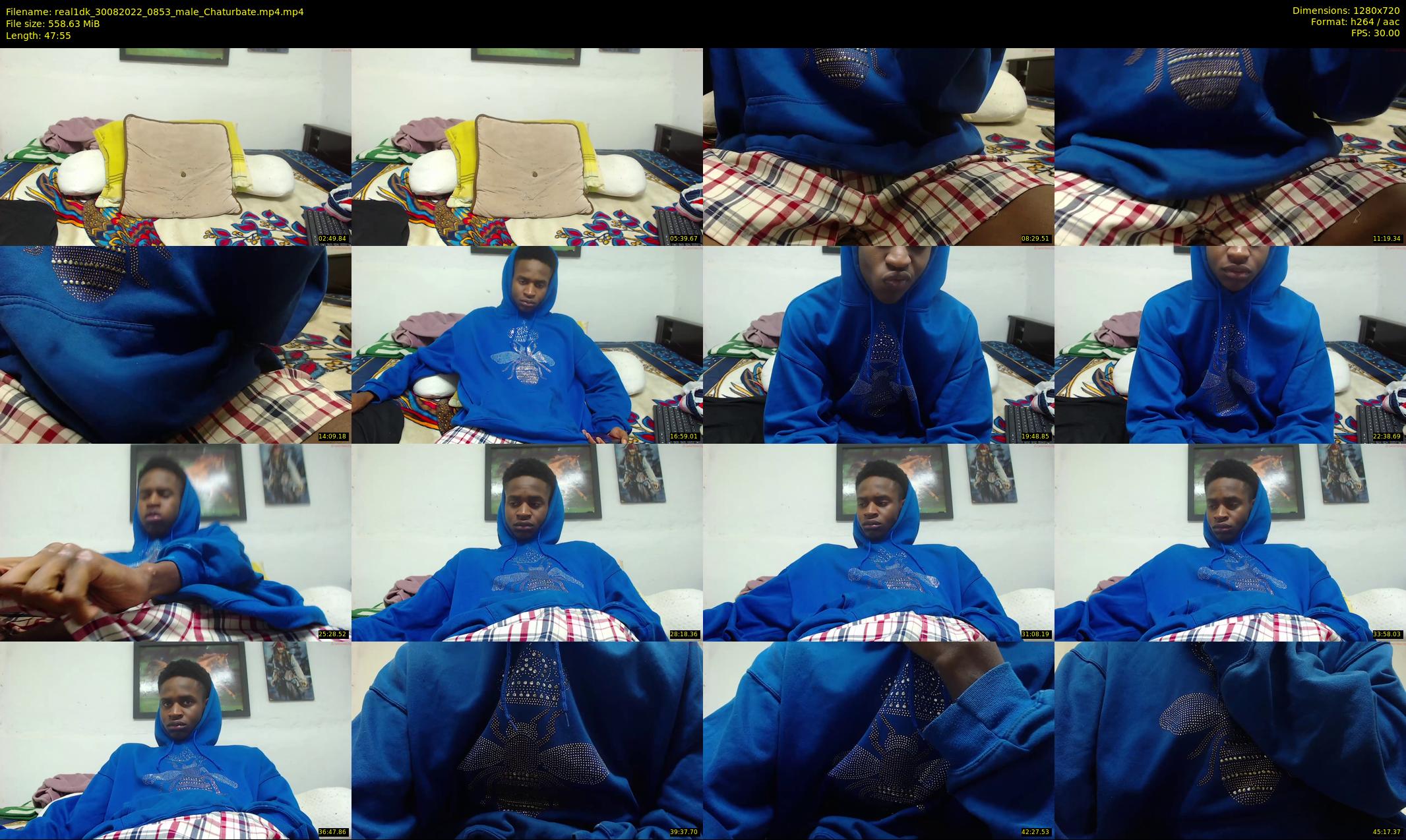 real1dk — 48 minute Chaturbate male cam show recording, 720p, Aug 30, 2022