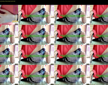 soft_body — 34 minute Chaturbate female cam show recording, 1080p, Sep 1, 2022