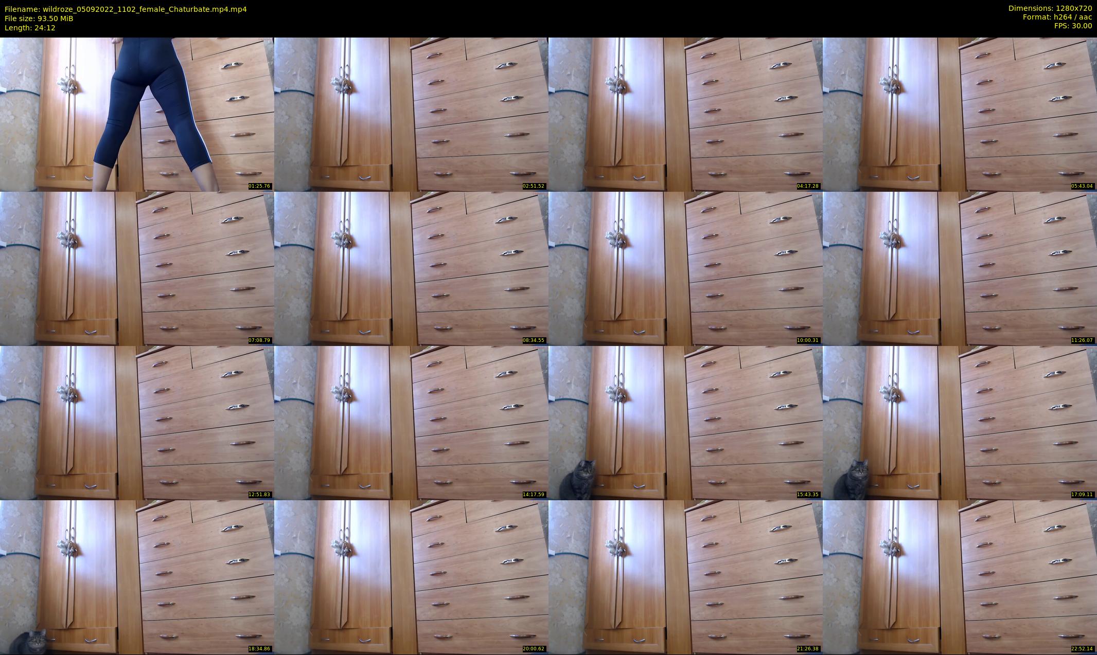 wildroze — 25 minute Chaturbate female cam show recording, 720p, Sep 5, 2022