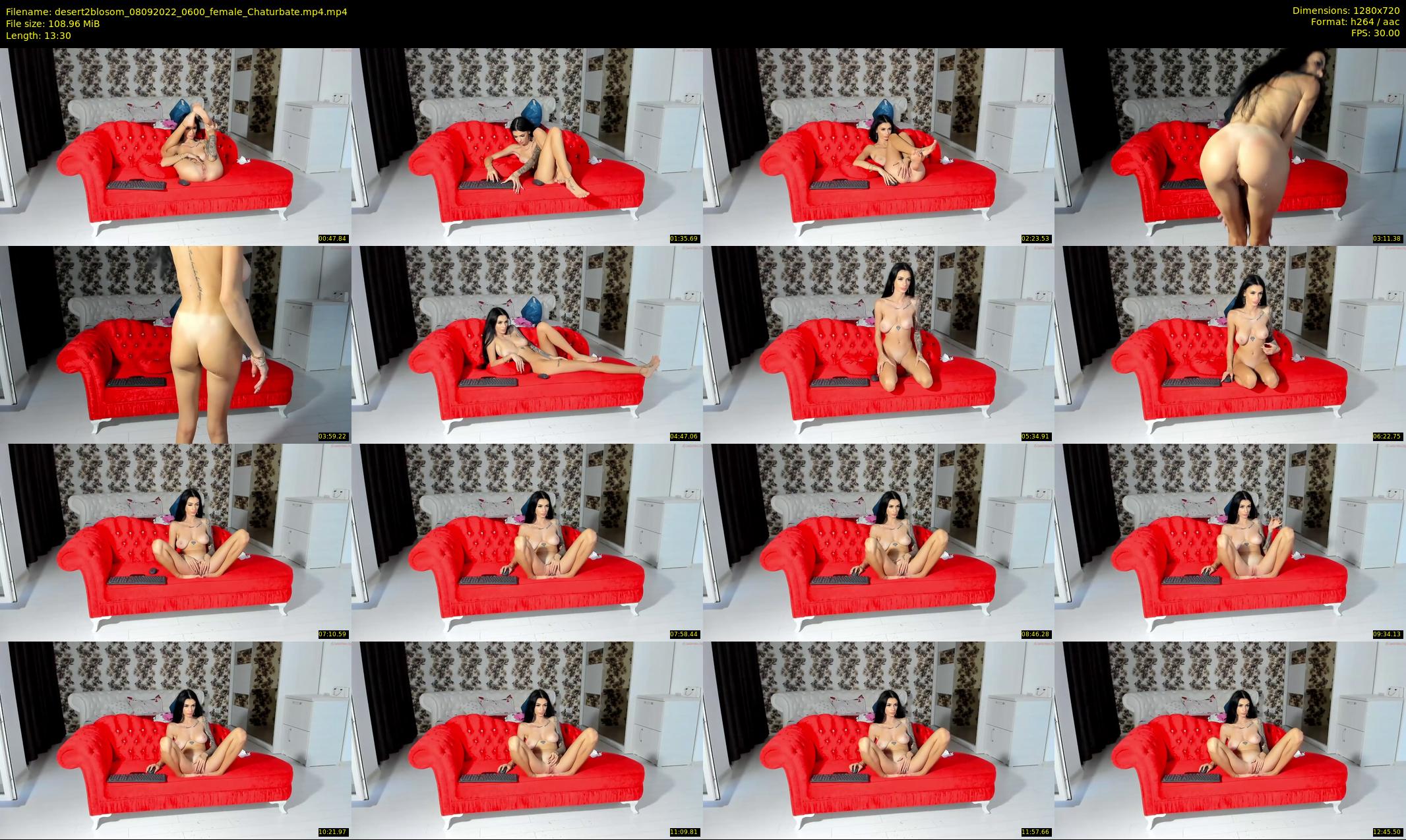 desert2blosom — 14 minute Chaturbate female cam show recording, 720p, Sep 8, 2022