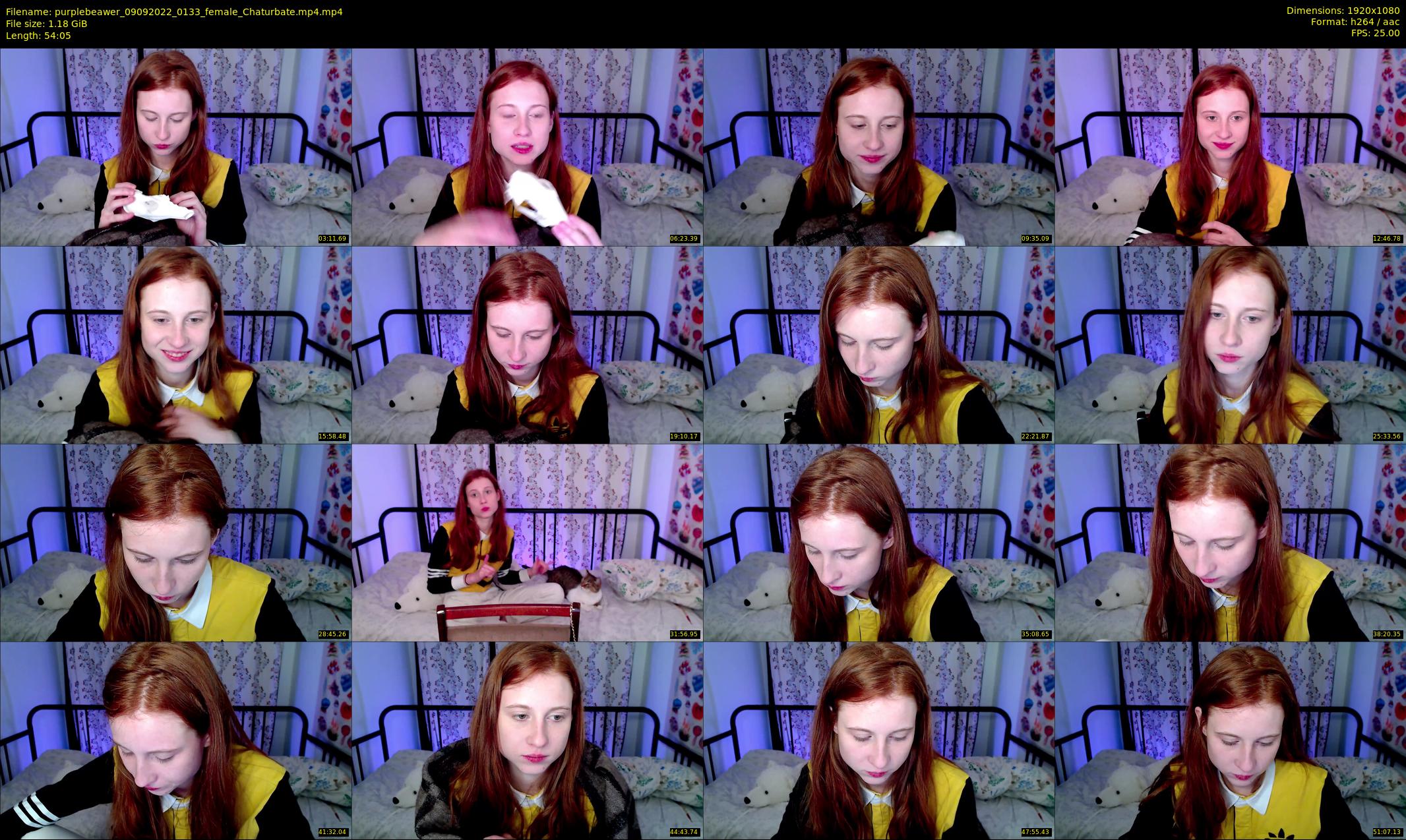 purplebeawer — 55 minute Chaturbate female cam show recording, 1080p, Sep 9, 2022