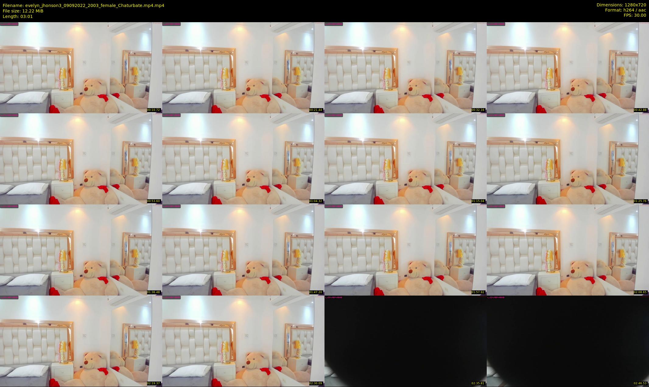 evelyn_jhonson3 — 4 minute Chaturbate female cam show recording, 720p, Sep 9, 2022