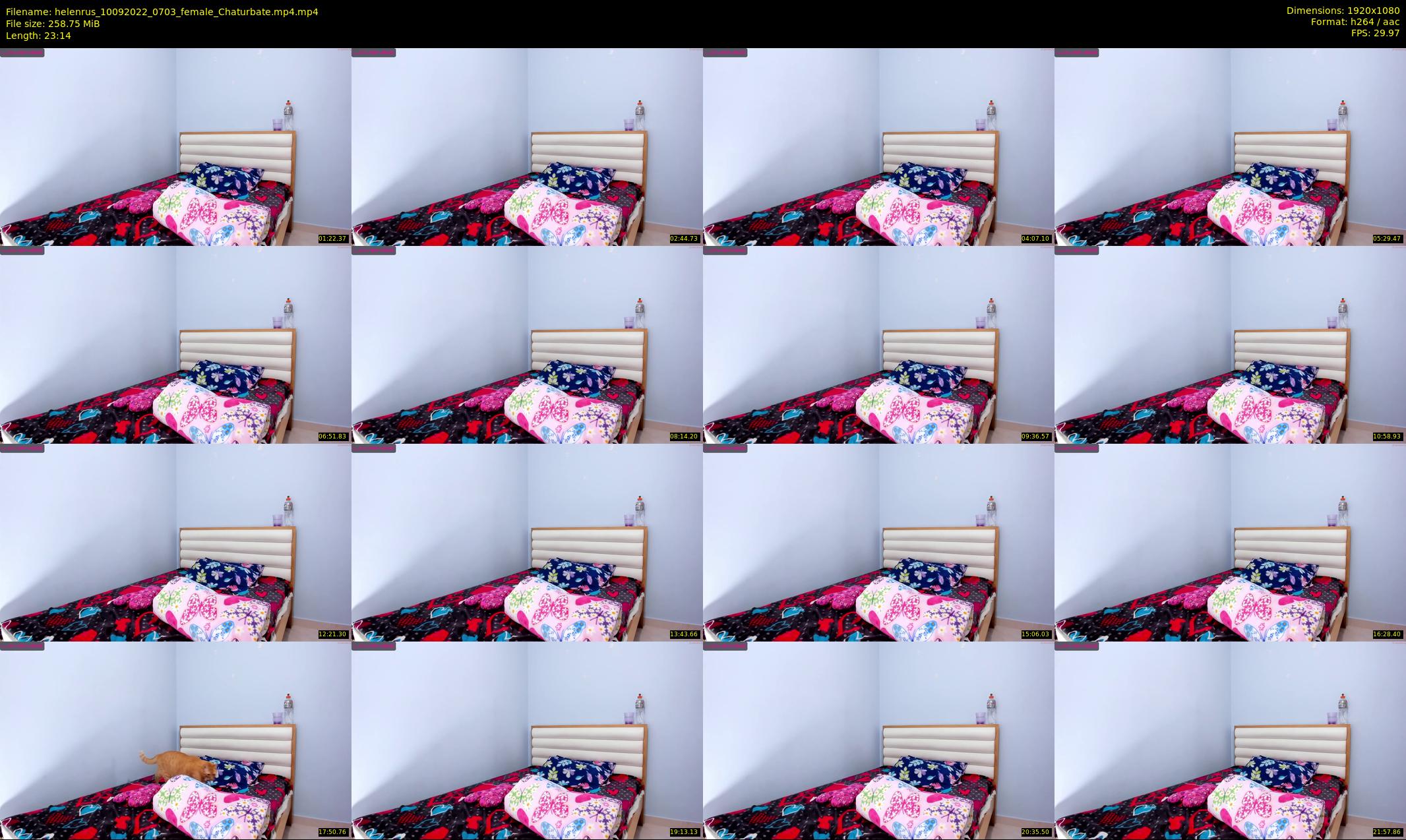 helenrus — 24 minute Chaturbate female cam show recording, 1080p, Sep 10, 2022
