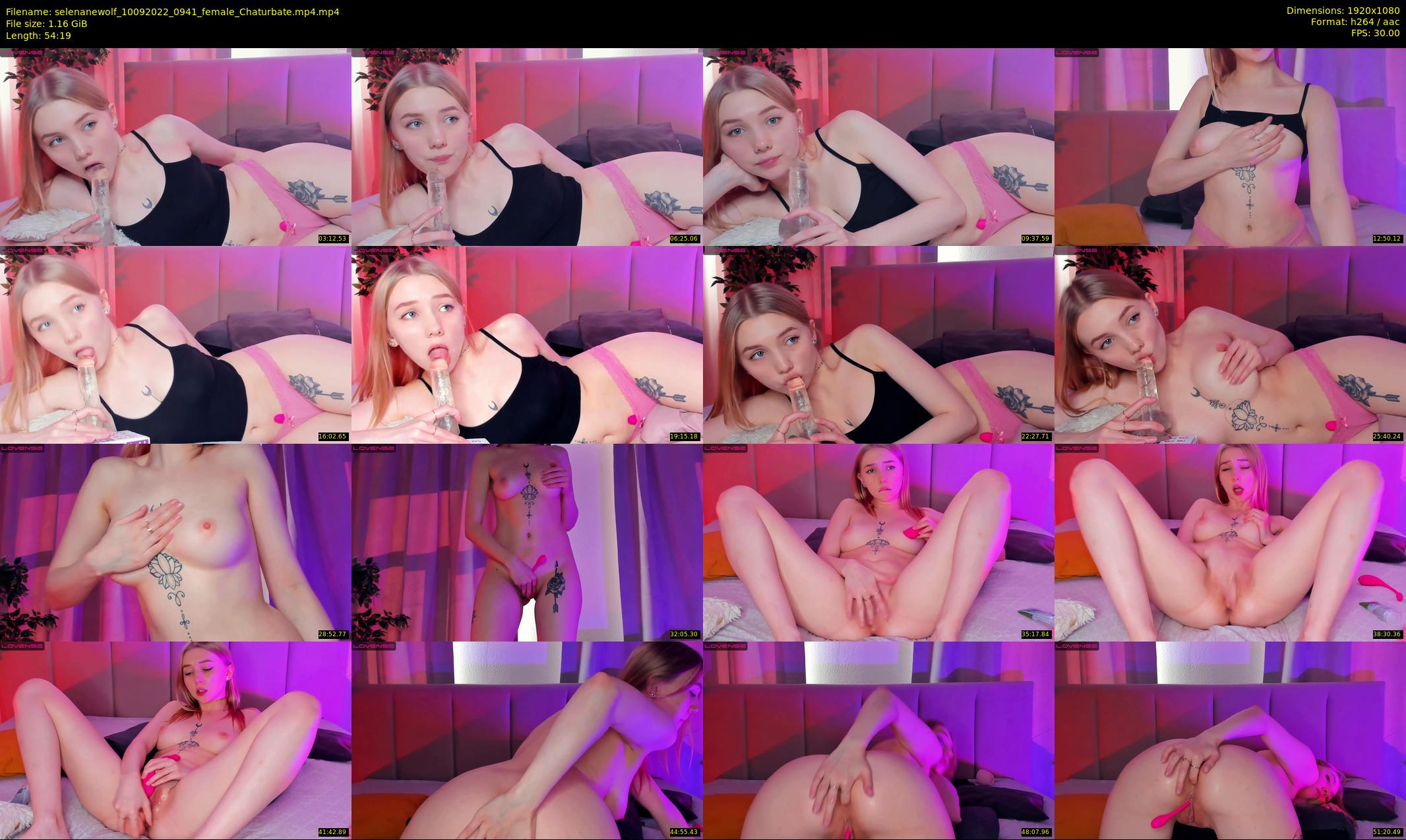selenanewolf — 55 minute Chaturbate couple cam show recording, 1080p, Sep 10, 2022