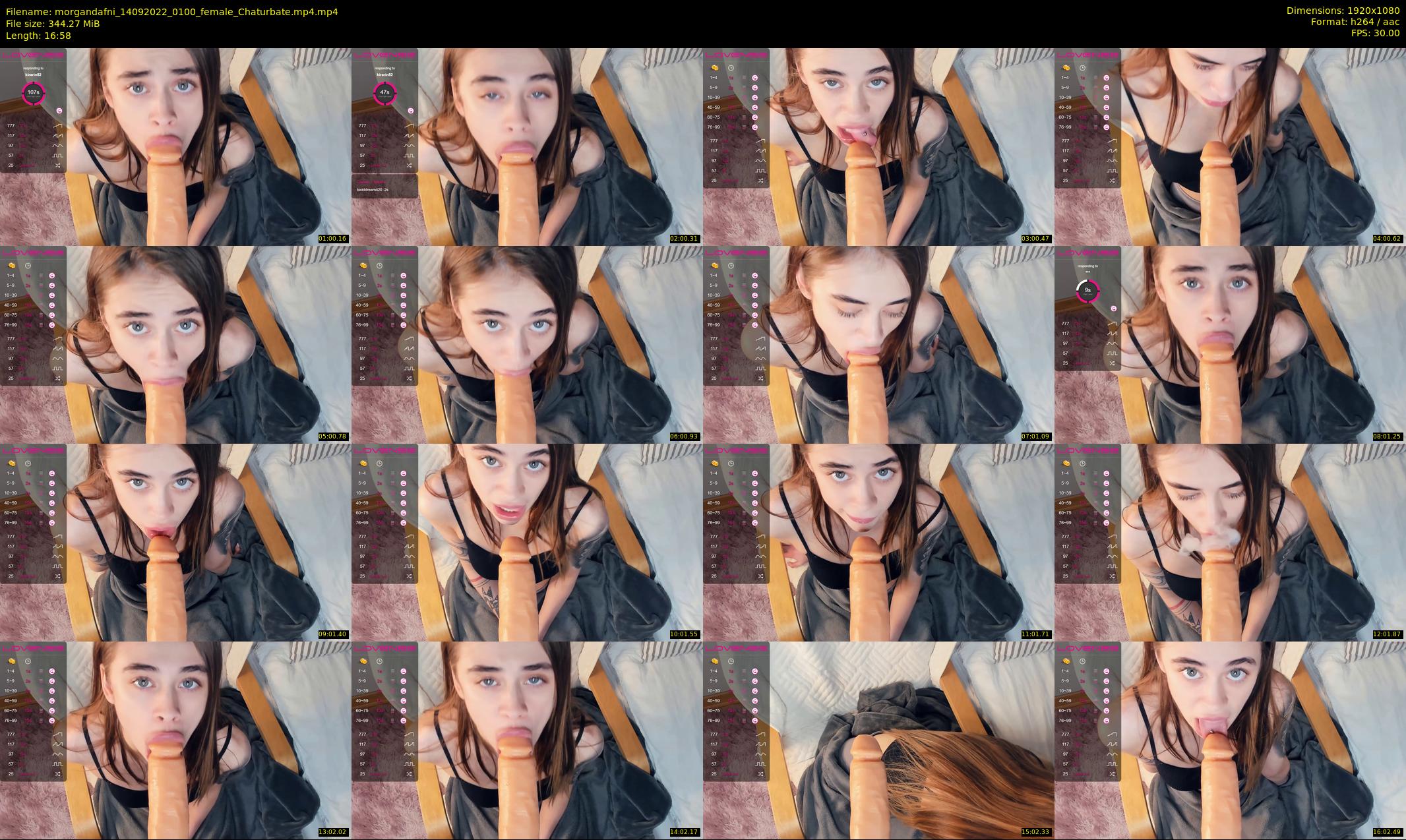morgandafni — 17 minute Chaturbate couple cam show recording, 1080p, Sep 14, 2022