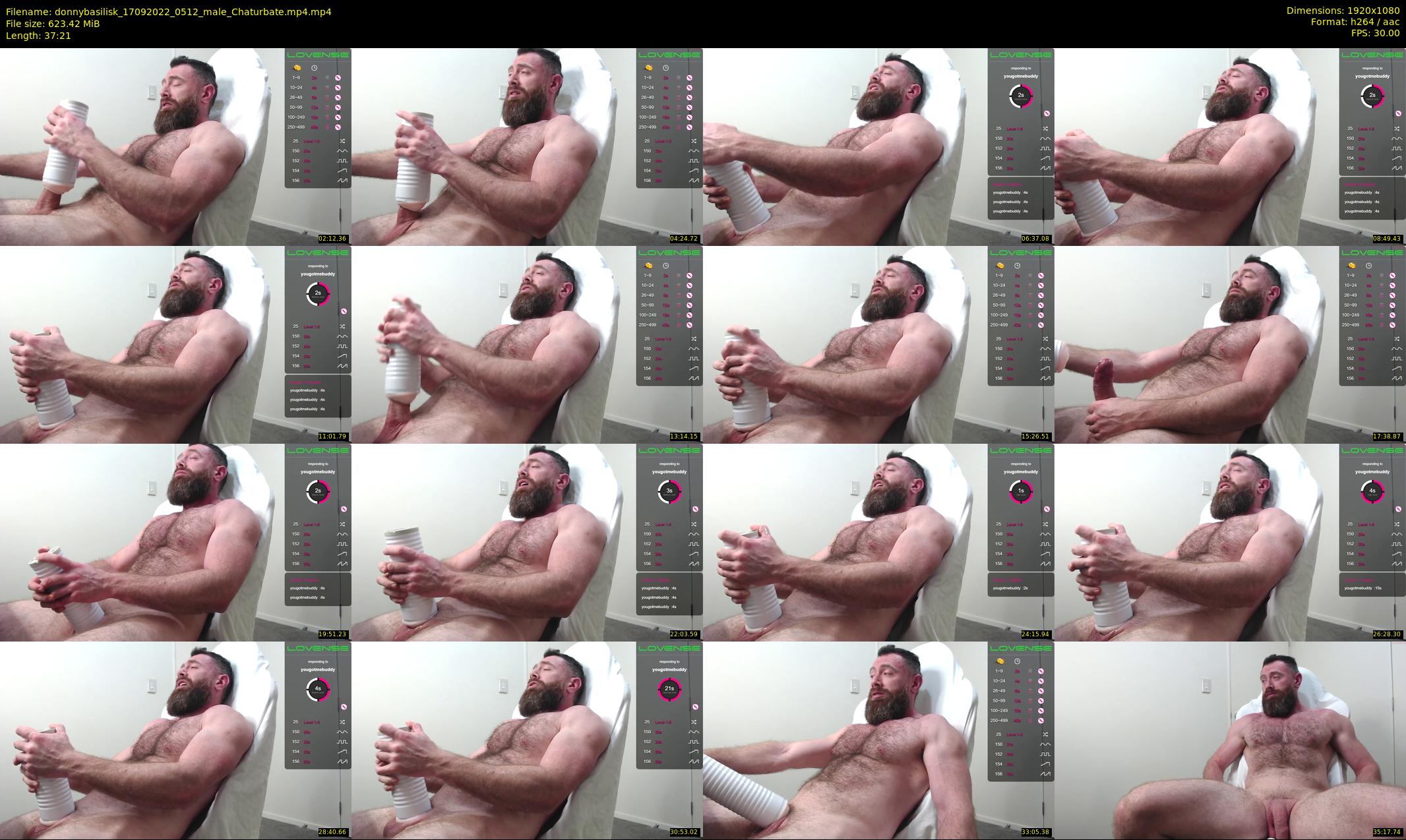 donnybasilisk — 38 minute Chaturbate male cam show recording, 1080p, Sep 17, 2022