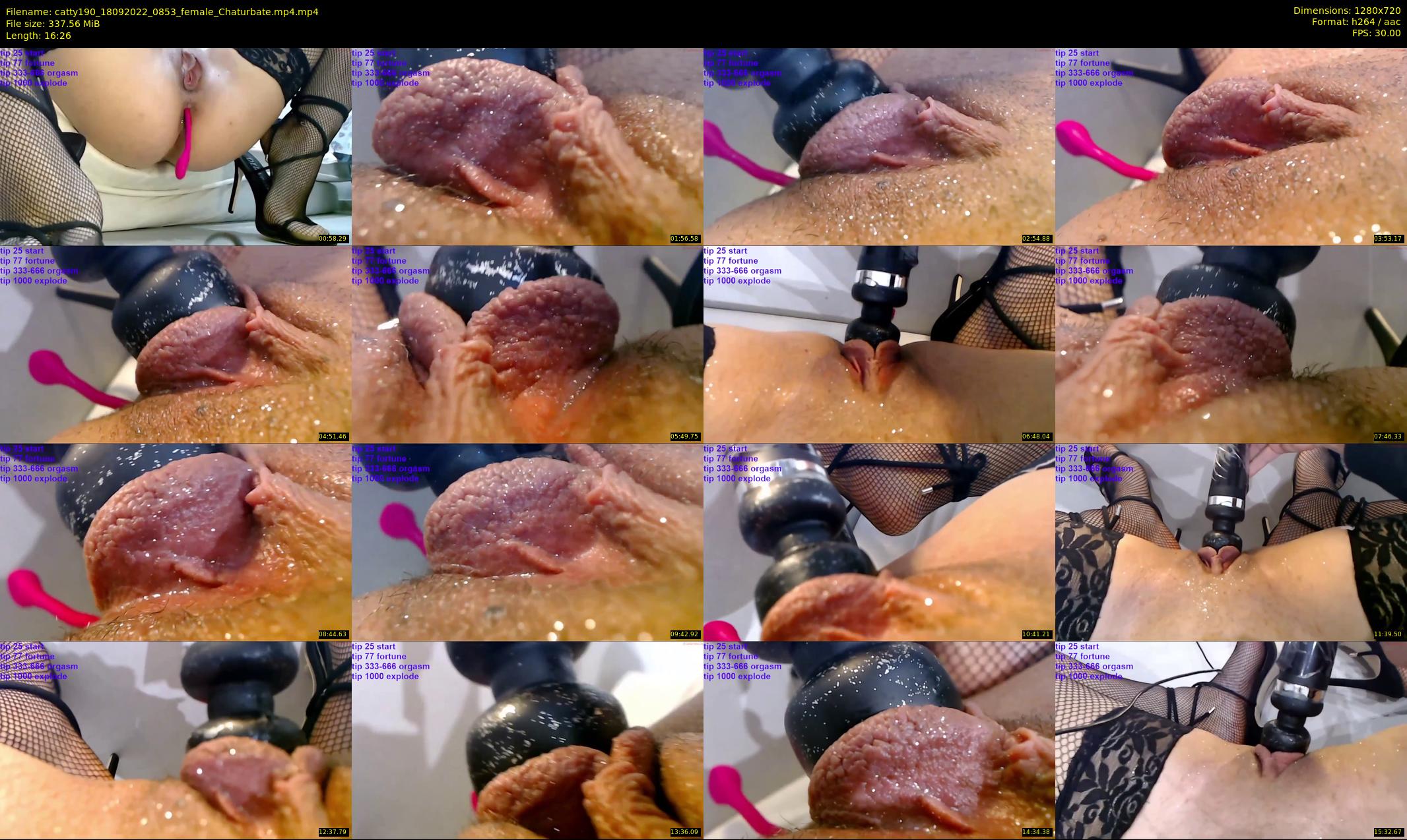 catty190 — 17 minute Chaturbate female cam show recording, 720p, Sep 18, 2022