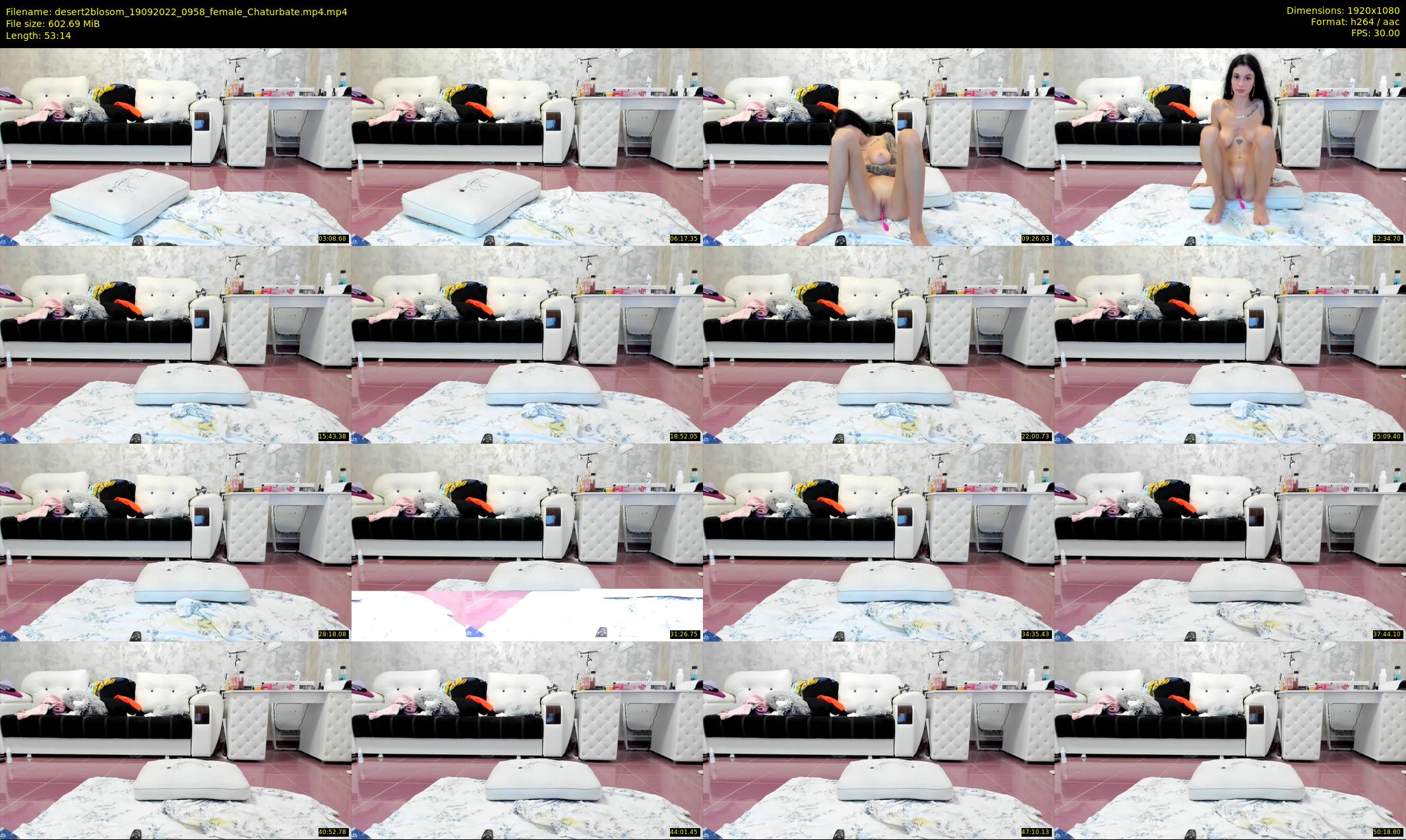 desert2blosom — 54 minute Chaturbate female cam show recording, 1080p, Sep 19, 2022