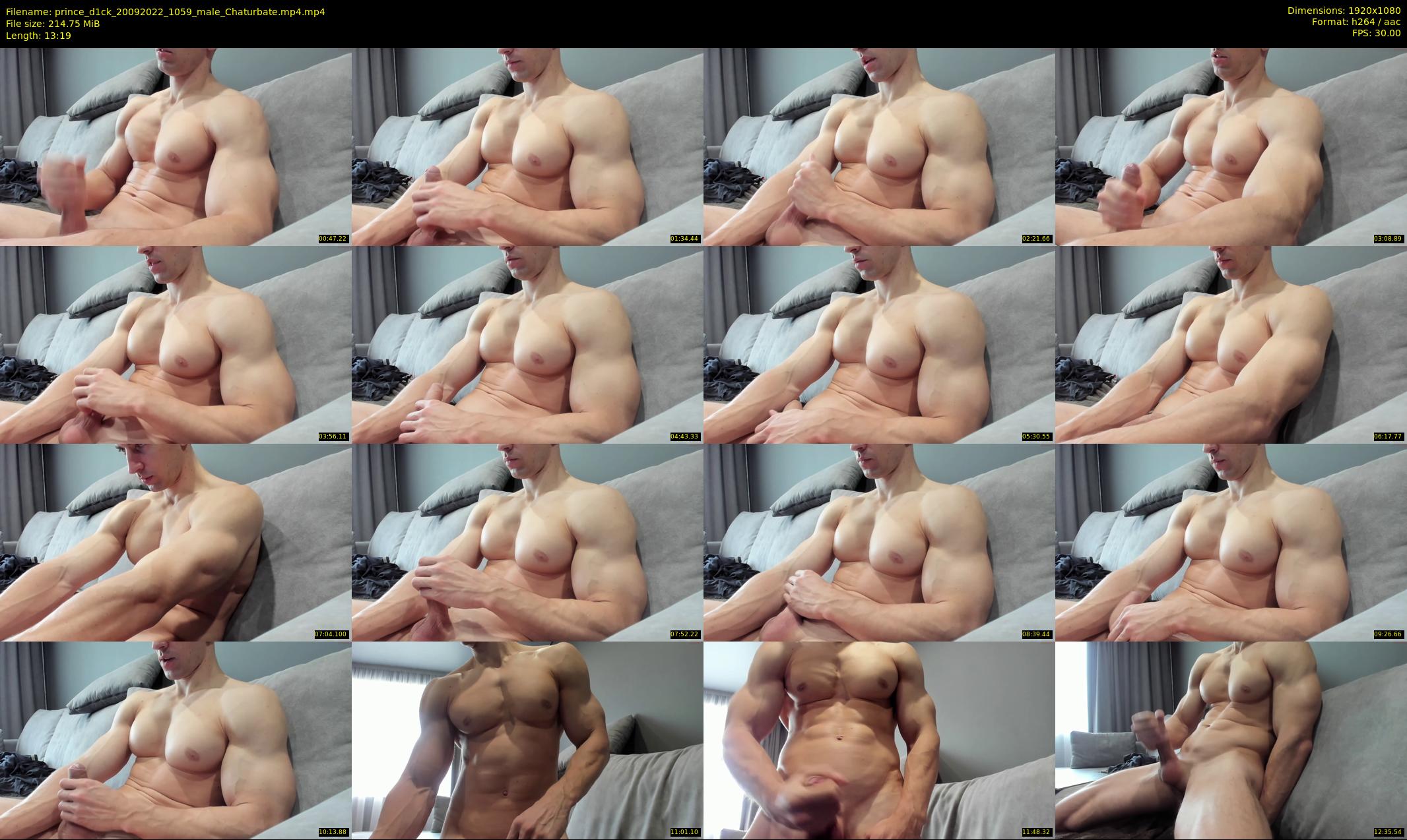 prince_d1ck — 14 minute Chaturbate male cam show recording, 1080p, Sep 20, 2022