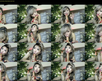 nicky_owl