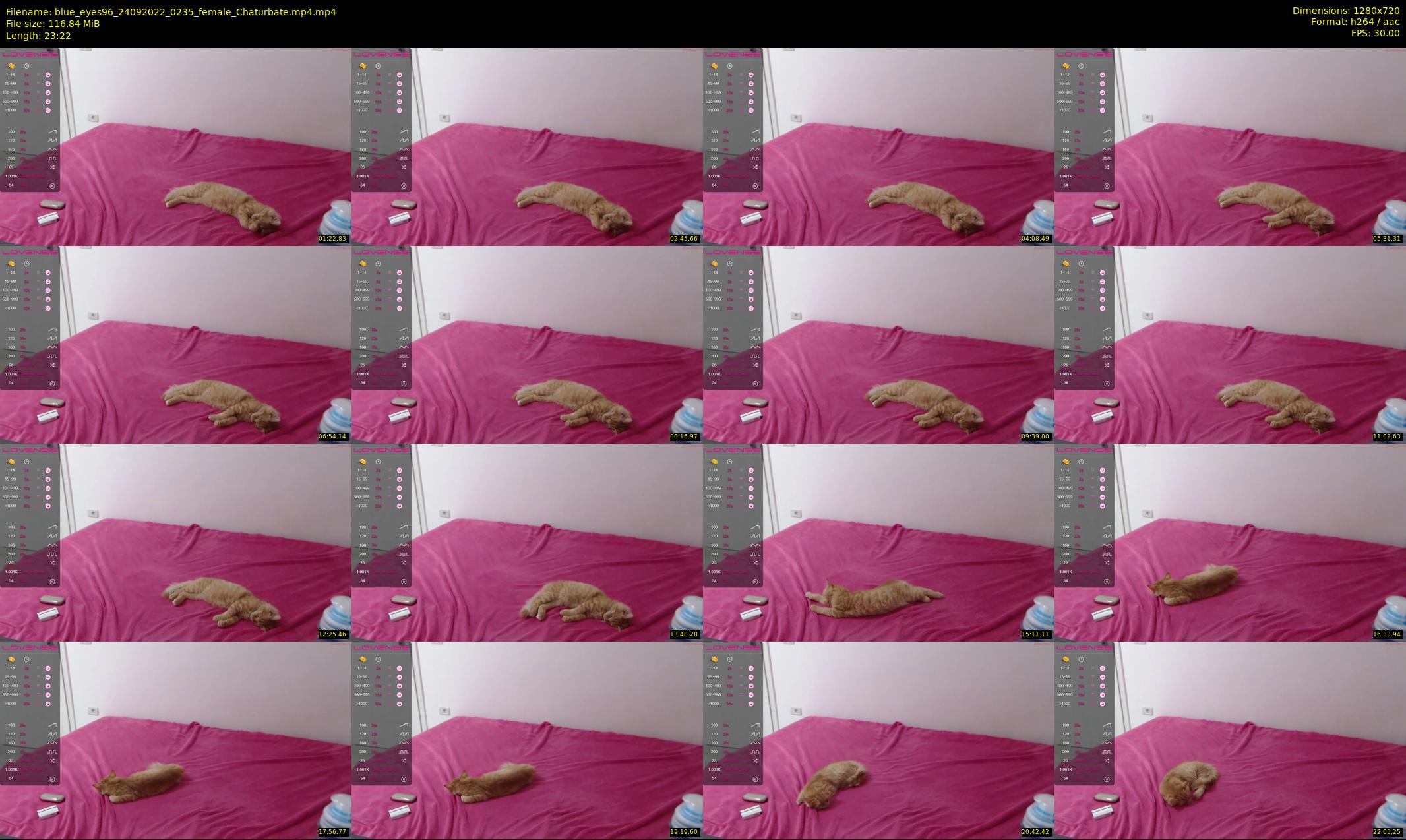 blue_eyes96 — 24 minute Chaturbate female cam show recording, 720p, Sep 24, 2022
