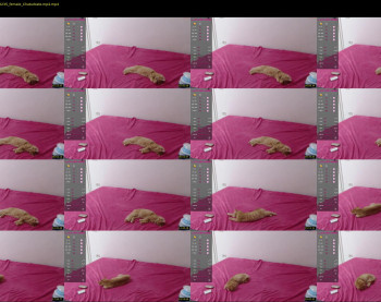 blue_eyes96 — 24 minute Chaturbate female cam show recording, 720p, Sep 24, 2022